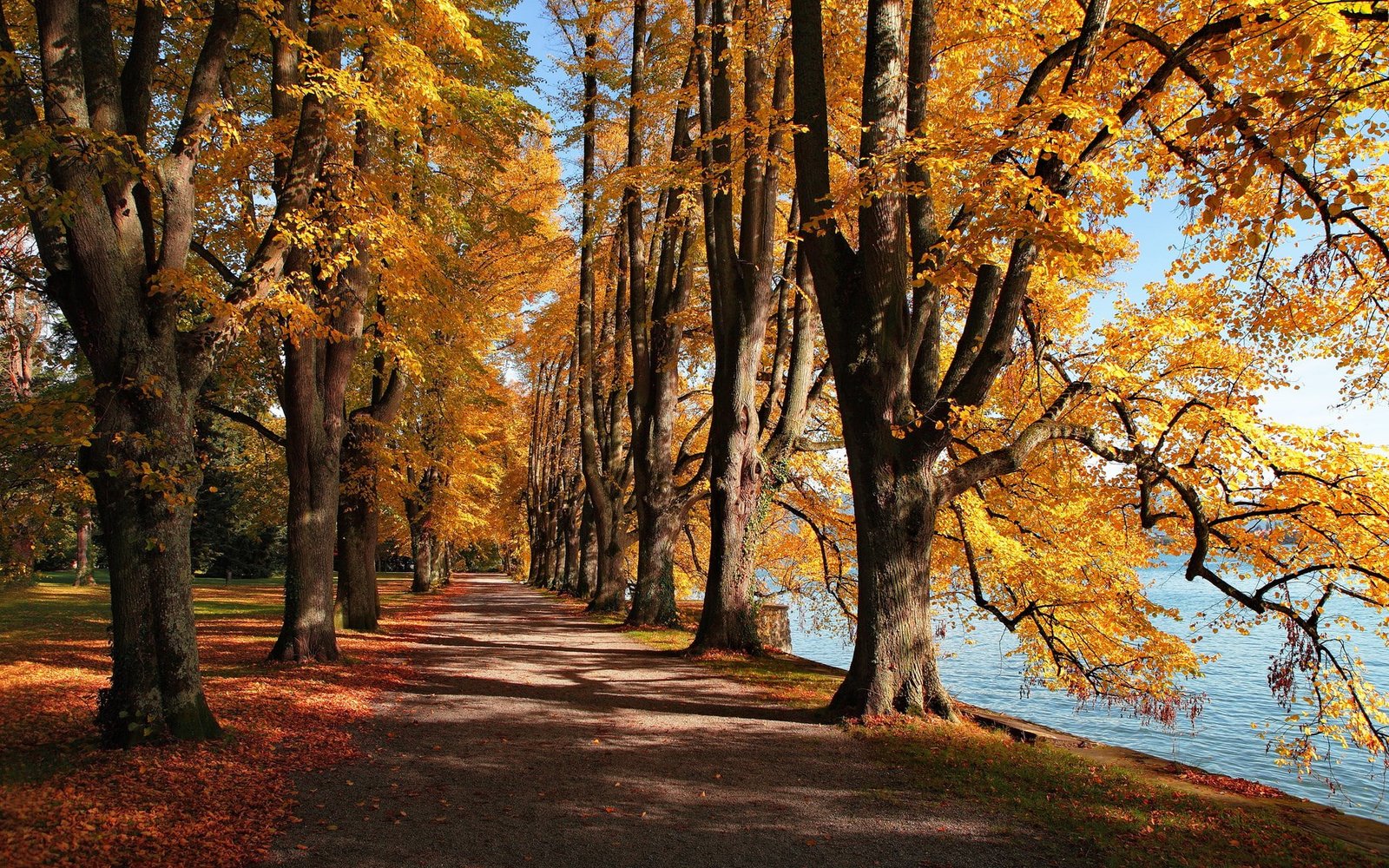 laptop backgrounds nature images 2k
