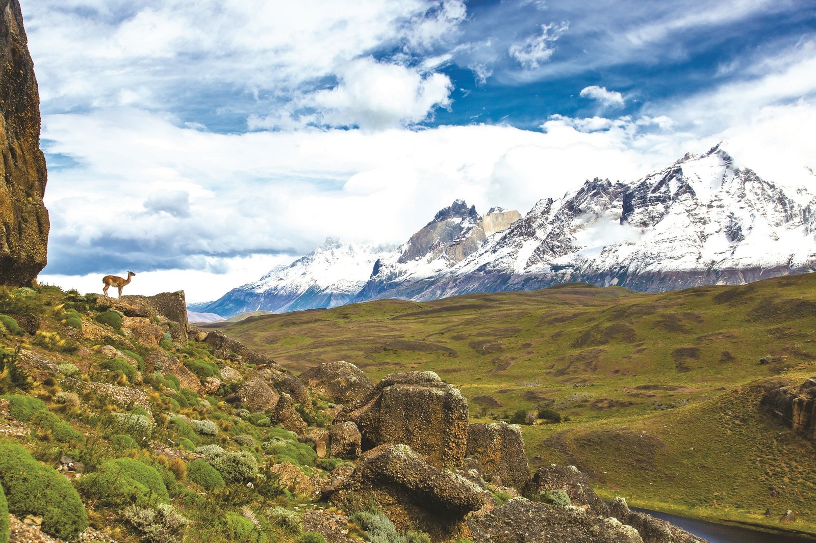nature landscape mountains clouds snowy peak animals Patagonia 2k