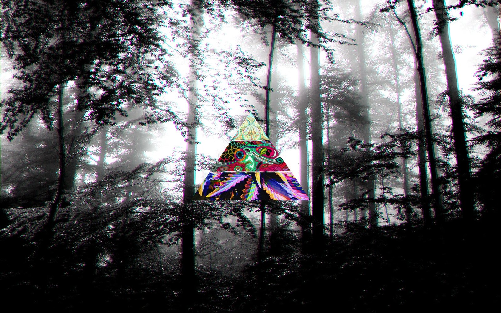 scenery of trees dark LSD forest plant no people nature 2k