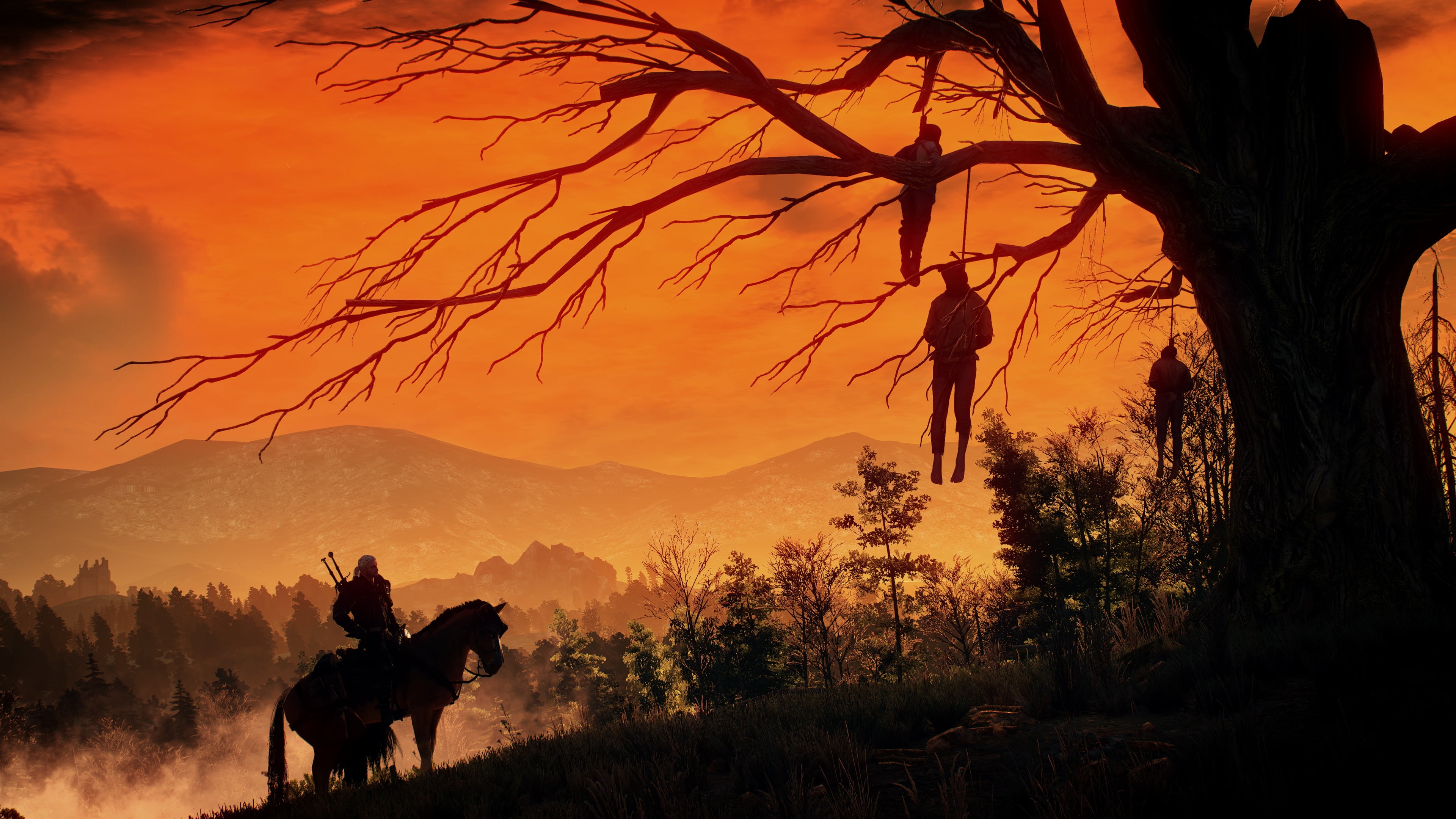 tree The Witcher gallows 3 Wild Hunt mammal 2k 4k