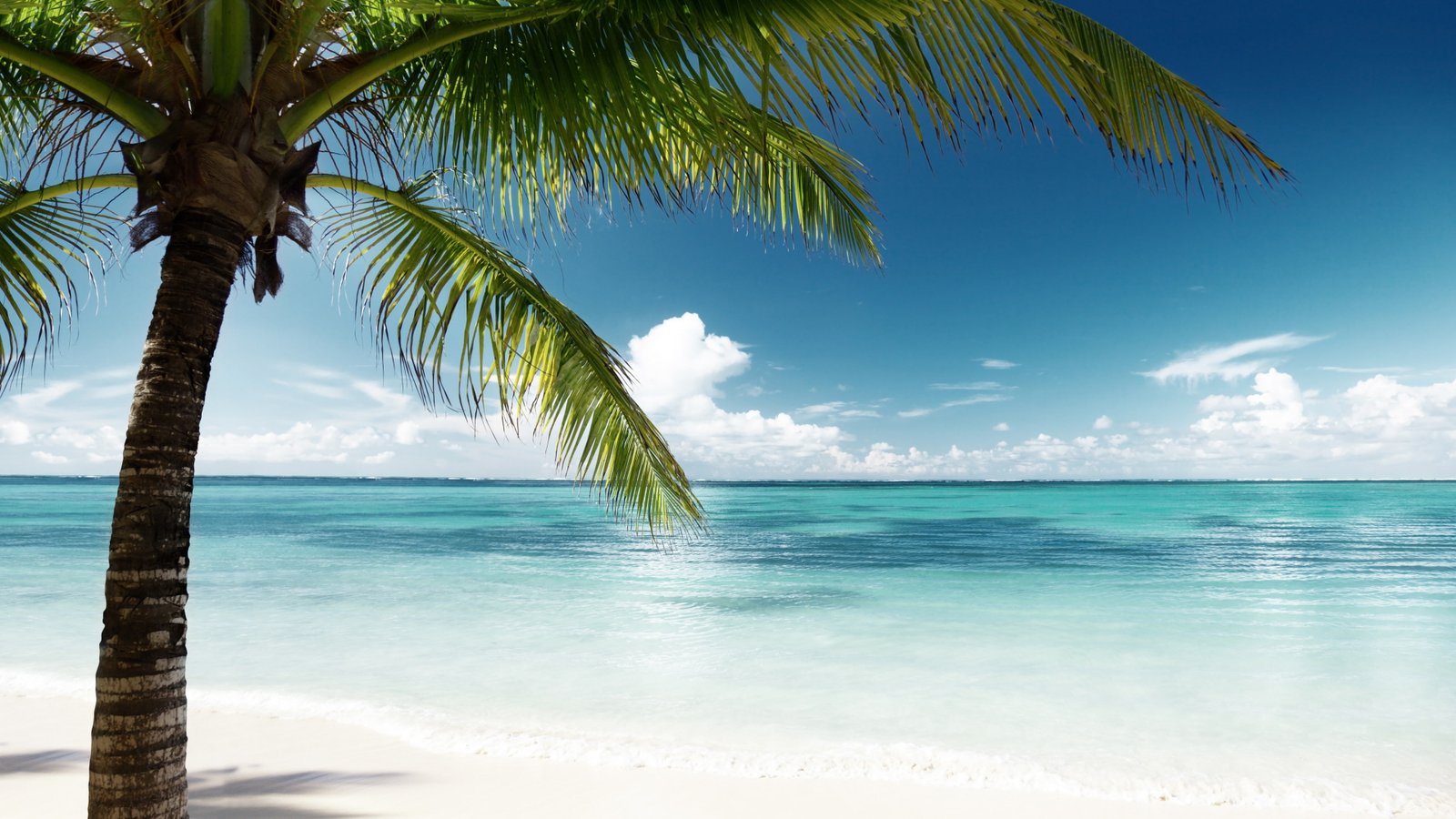 vacation white sand blue water sea turquoise 2k 4k