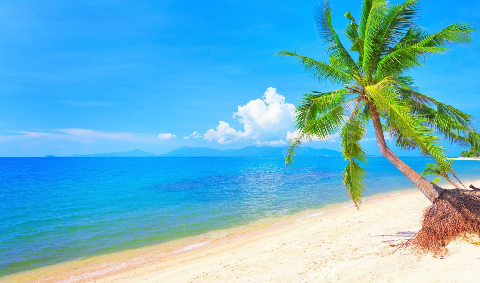 beach free pc wallpaper hd sea water sky land beauty in nature 2k 4k