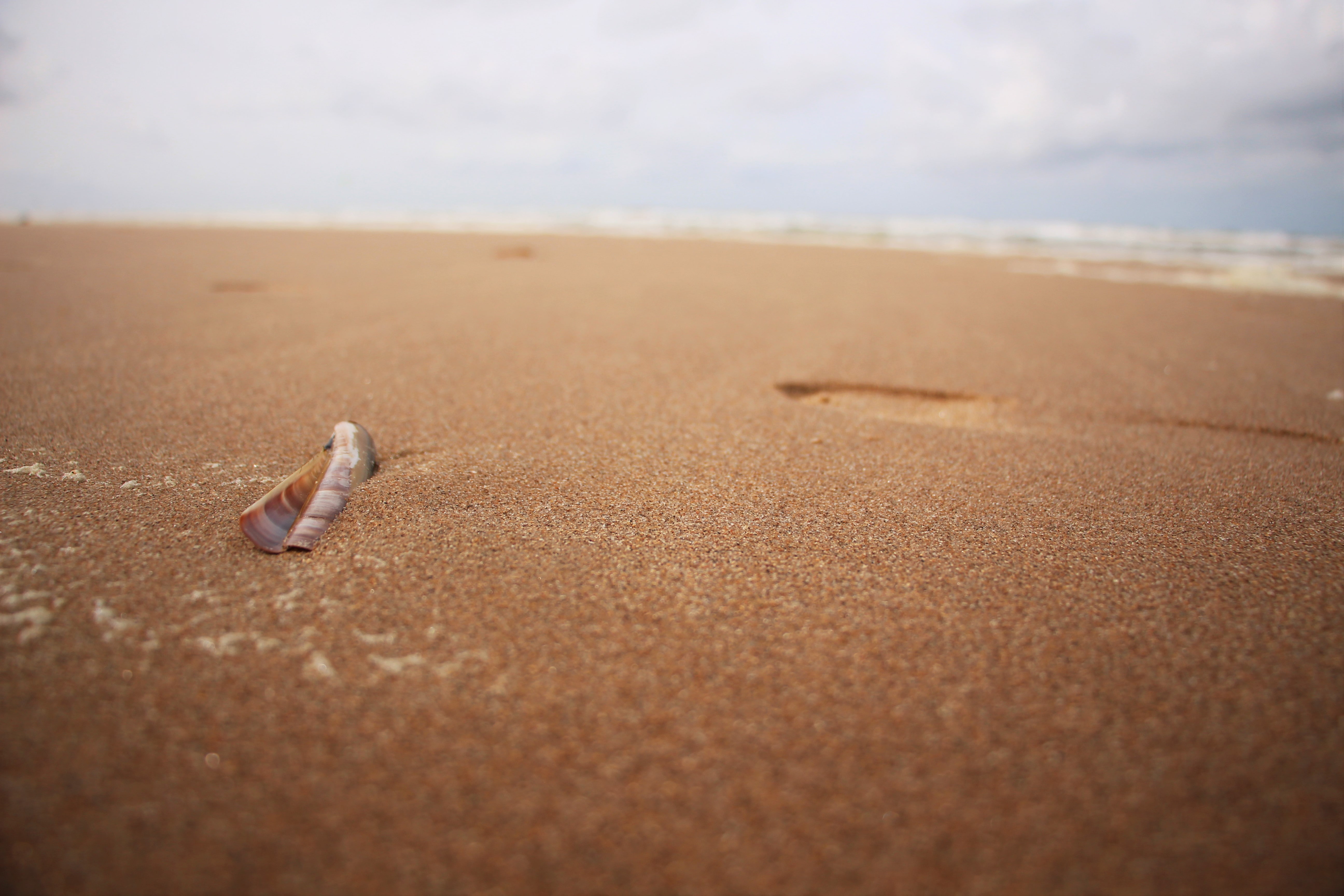 beach Dutch North Sea sand land water day nature selective focus 2k 4k 5k