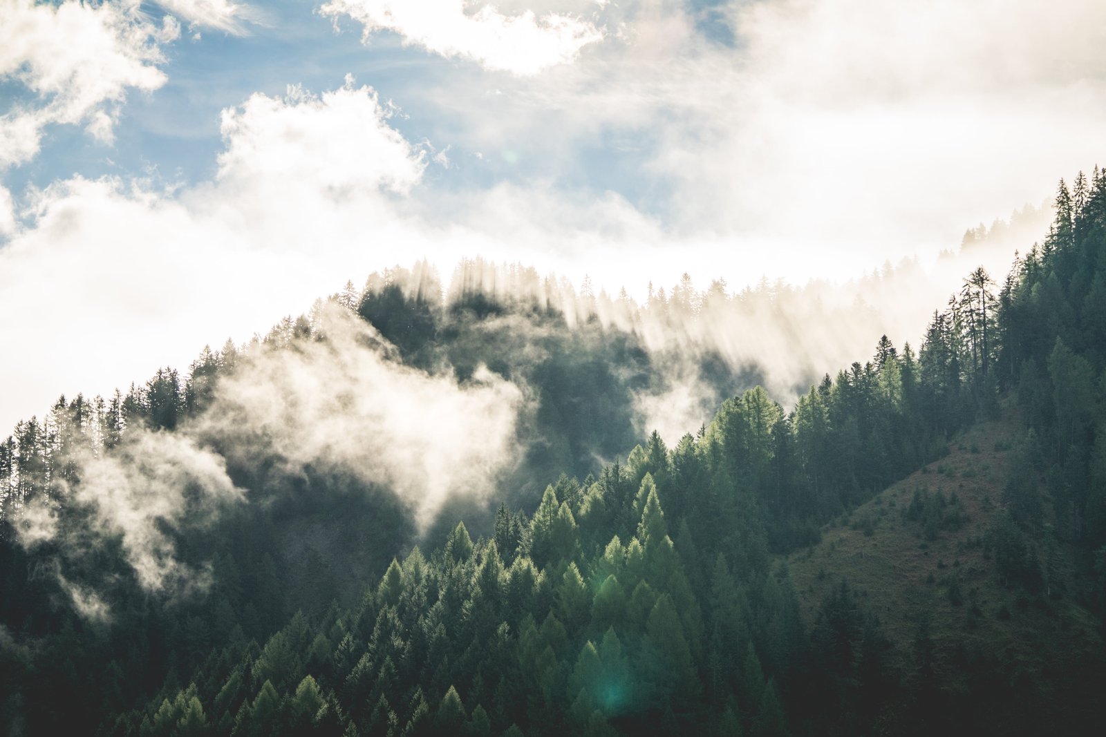 Beautiful Morning Mountain Forest Scenery clouds fog fresh air 2k 4k 5k