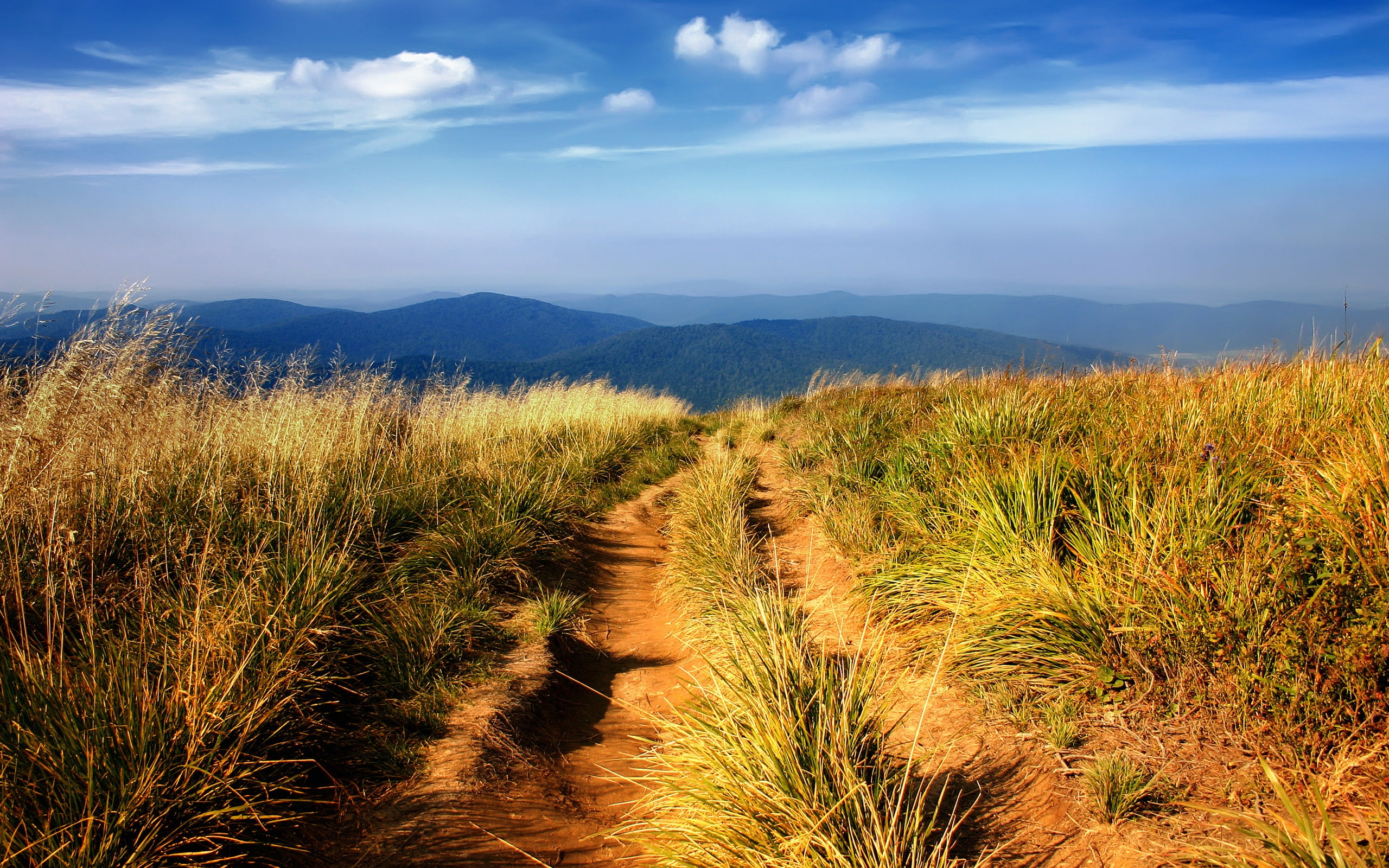 Bieszczady landscape nature fields grass mountains 2k
