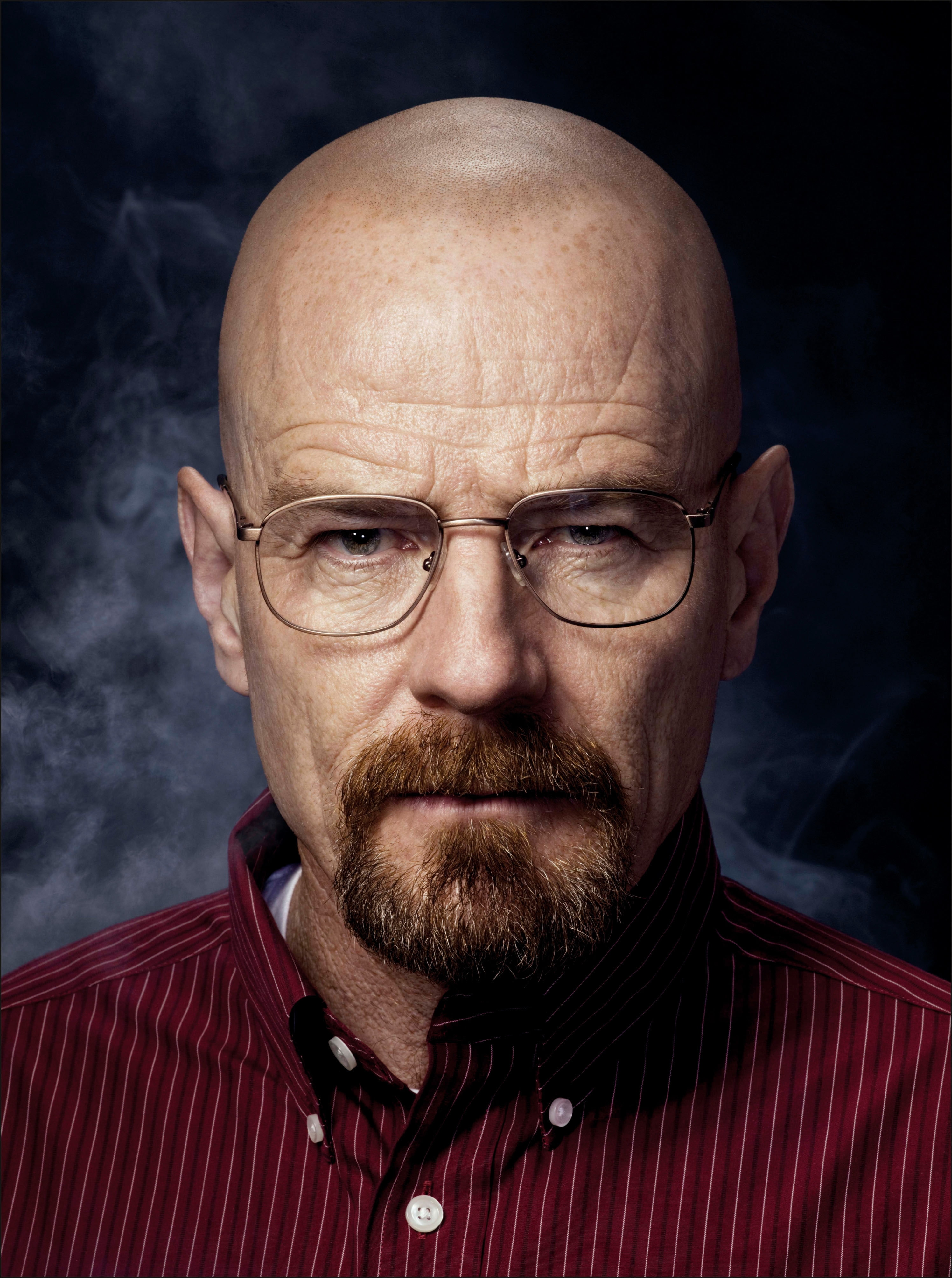 breaking bad actors bryan cranston walter white men with glasses Animals Horses HD Art 2k