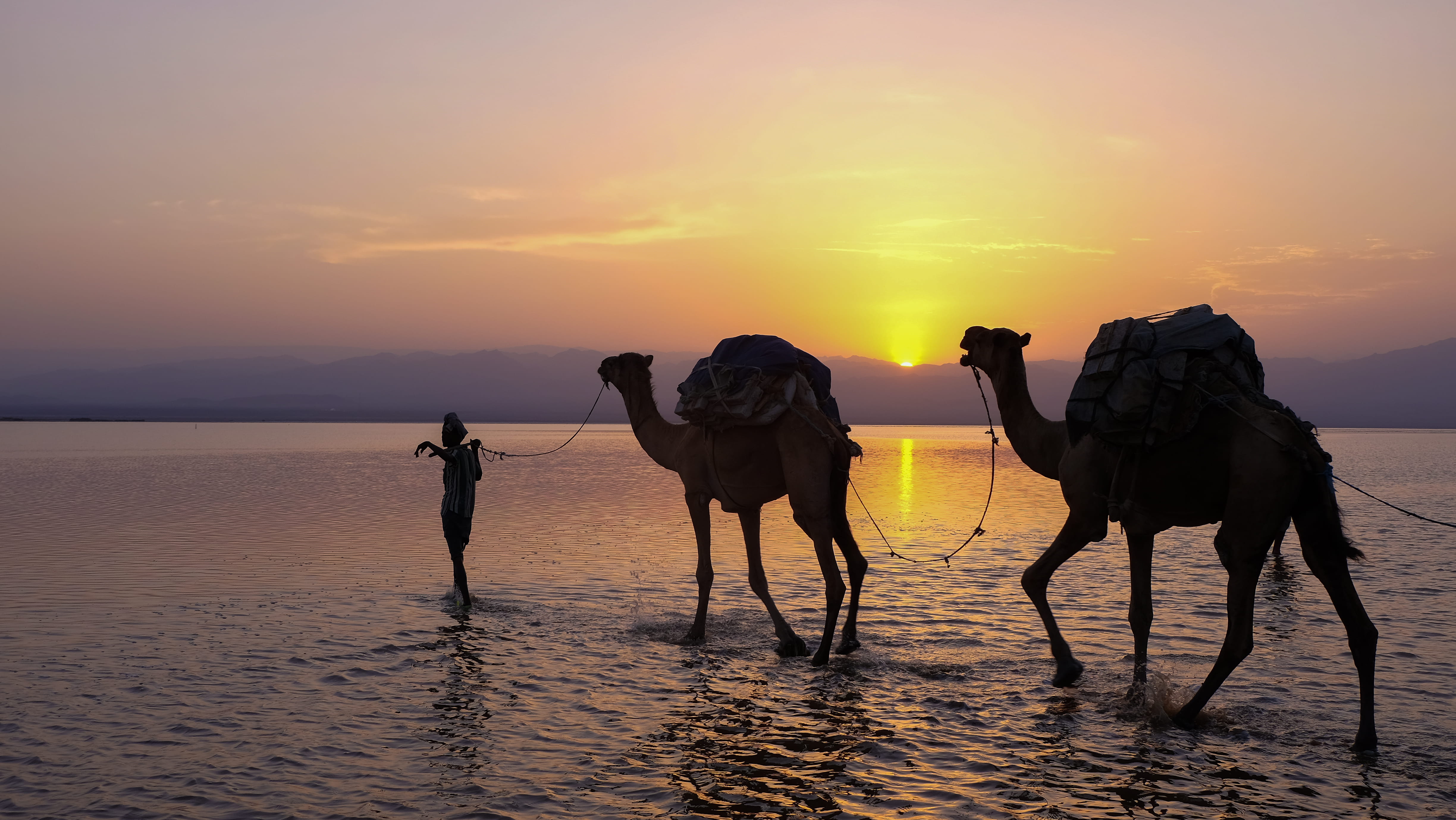 ethiopia lake karum danakil lac caravane sel sunset 2k 4k 5k