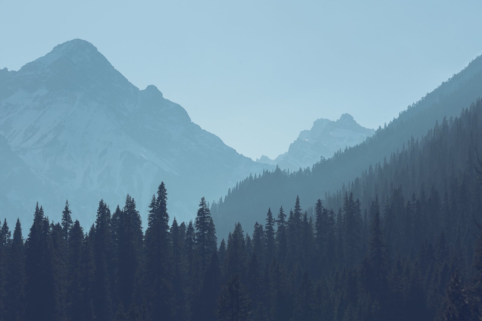 green leafed trees forest mountains landscape nature scenics 2k 4k 5k