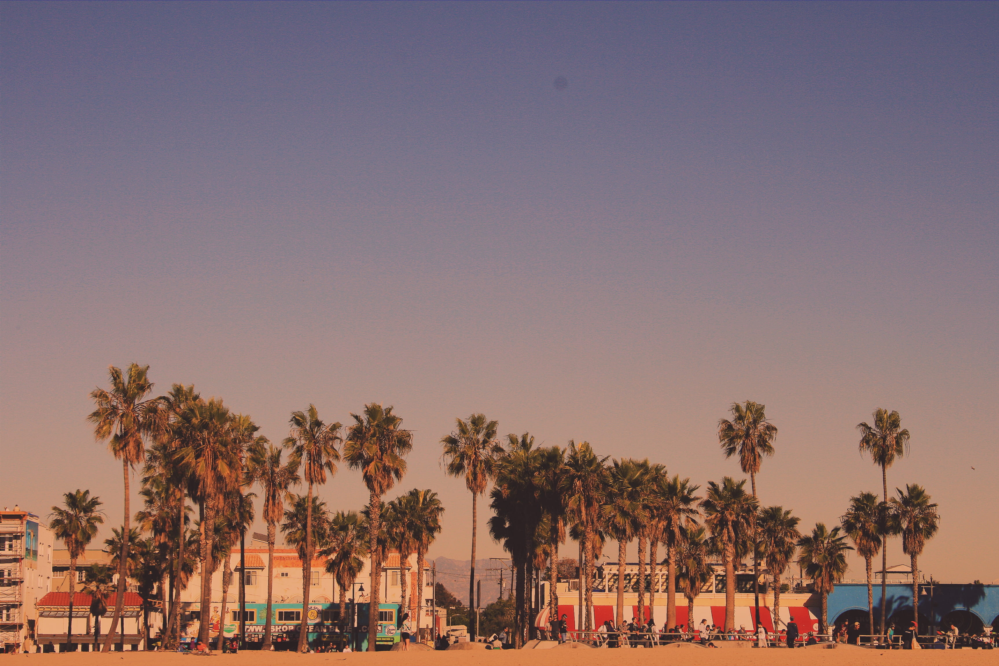 los angeles united states venice beach trees landscape 2k