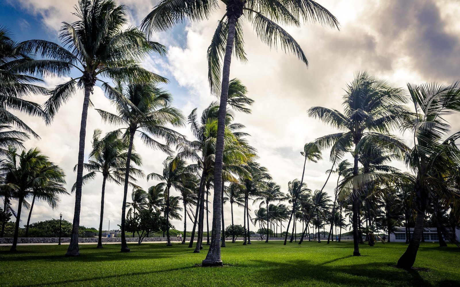 Miami Beach Park art deco palm Florida USA sky Cloud 2k
