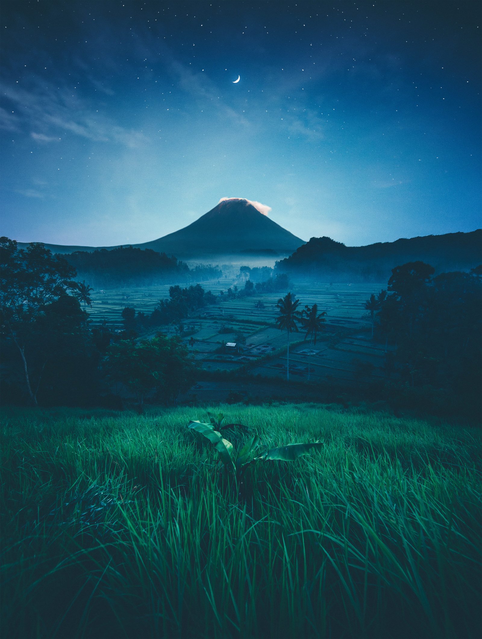 mountain near green trees at night field farm valley palm 2k