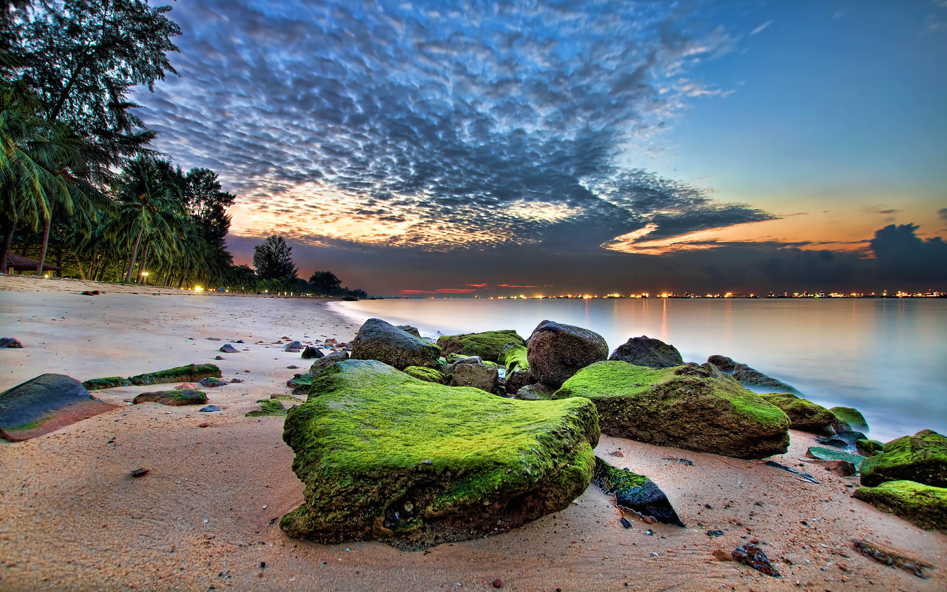 Park Beach East Coast In Singapore Sunrise Ocean Sandy Rocks Green Moss Palm Tree Desktop Hd Wallpaper For Pc Tablet And Mobile 2k 4k
