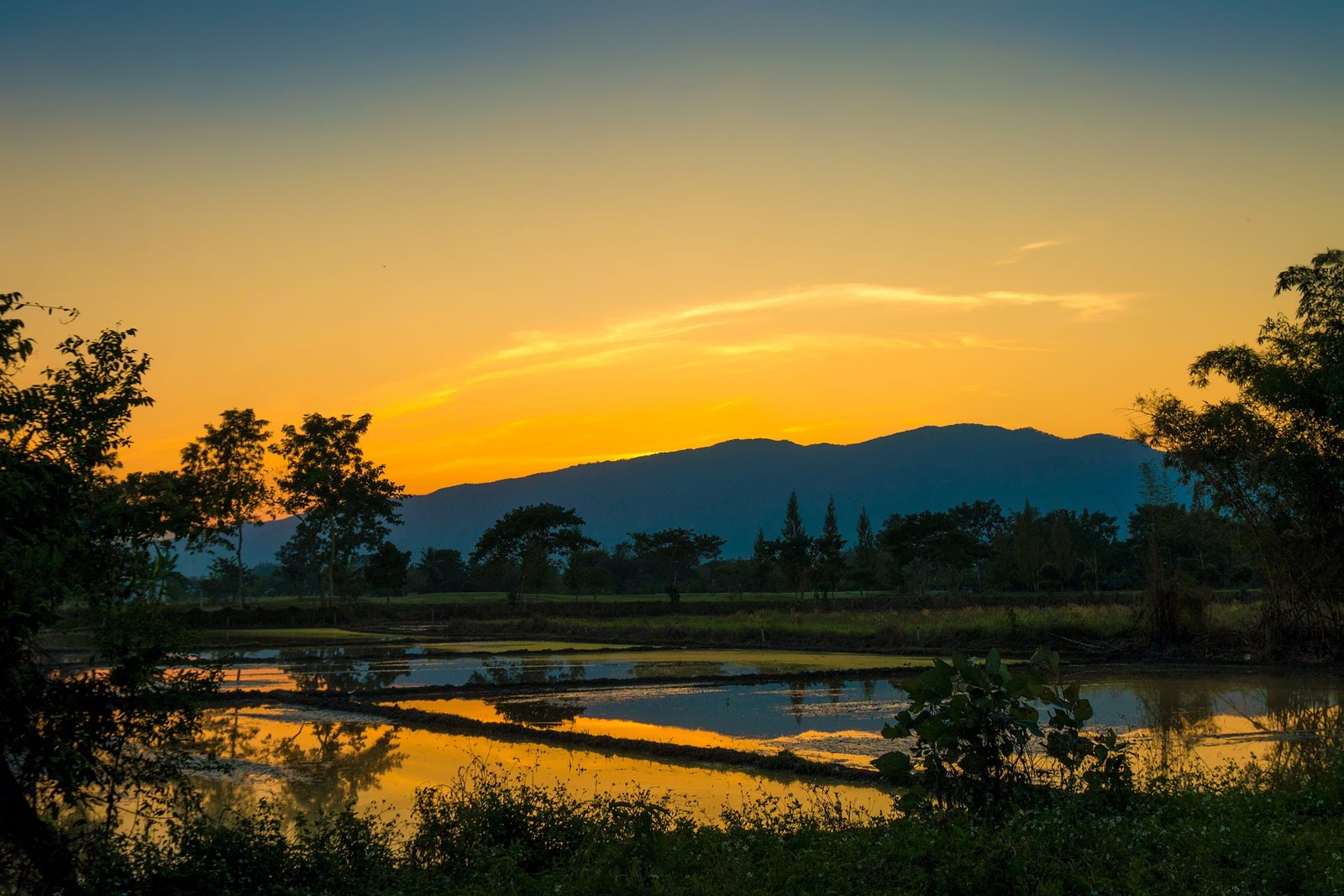 photograph of body water near trees during golden hour sunset 2k 4k