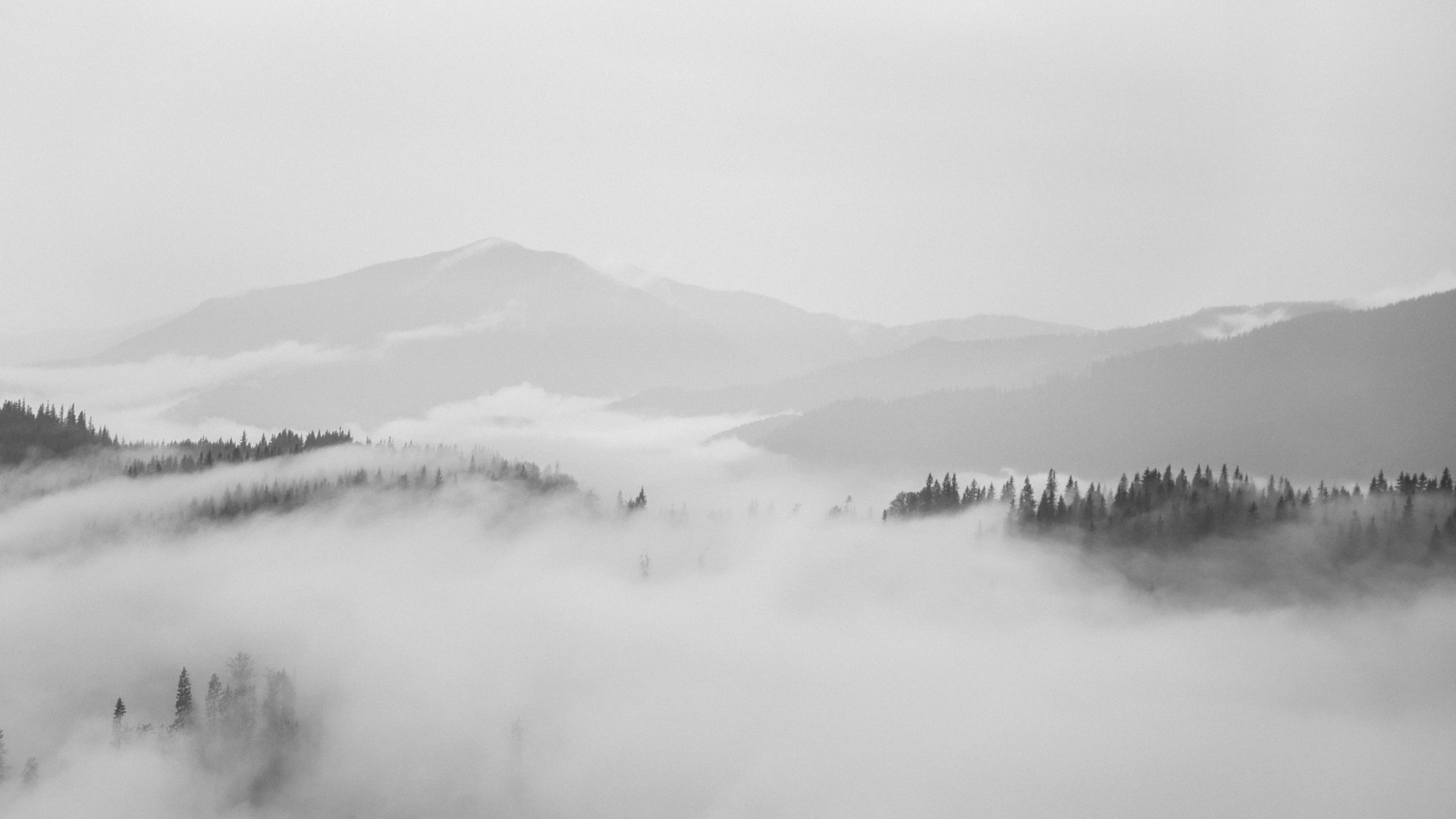 romania rar u foggy clean clear white bw black mountains 2k 4k 5k