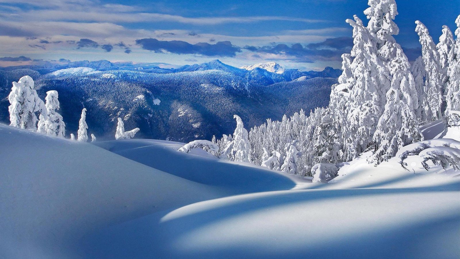 snow winter frost snowy forest mountains scenery landscape 2k 4k