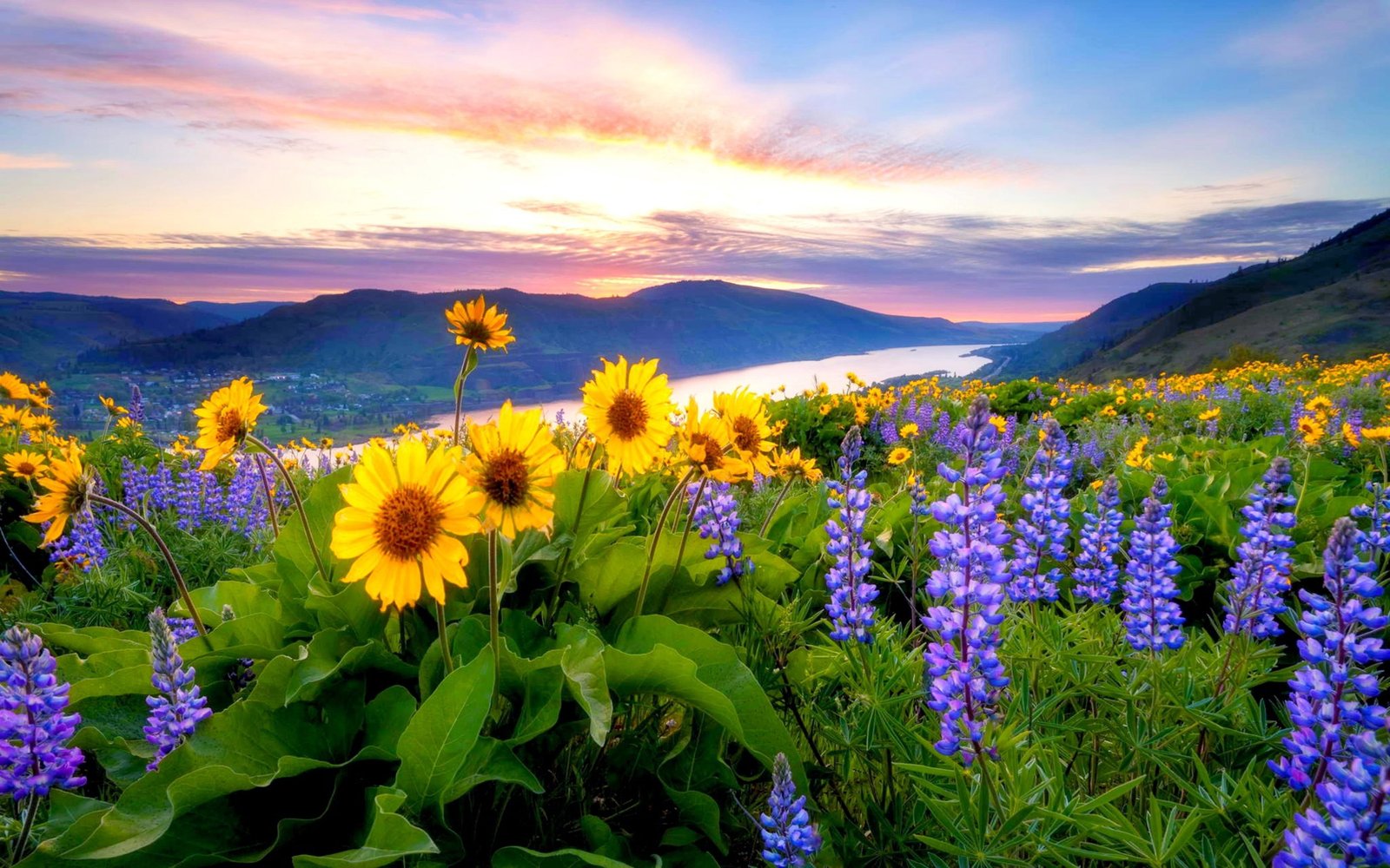 Spring Flowers Mountain Lake Hills Red Cloud Sunset Hd Desktop Backgrounds Free Download 2k 4k