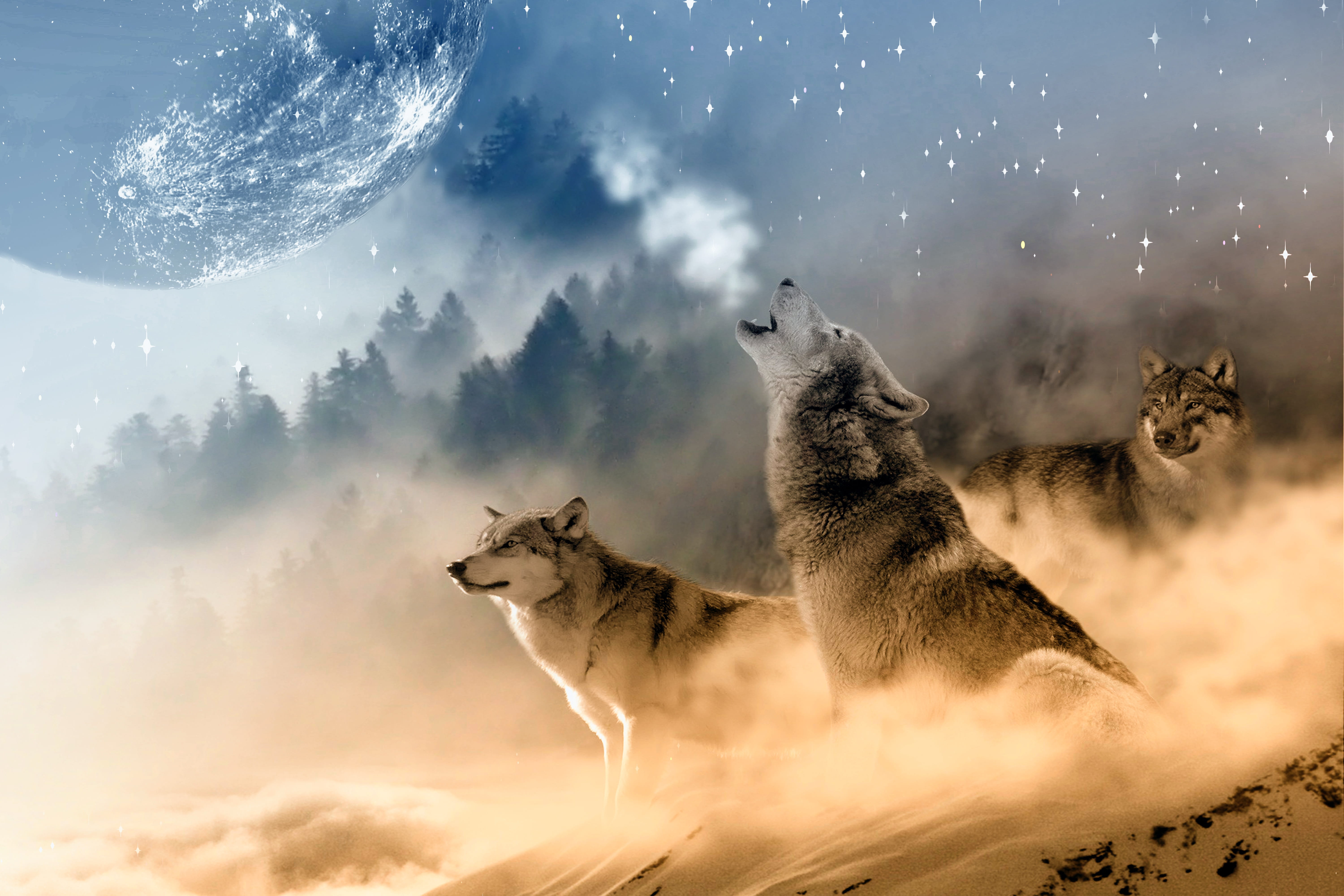 three wolves on snow howling in night during full moon wolf 2k 4k 5k