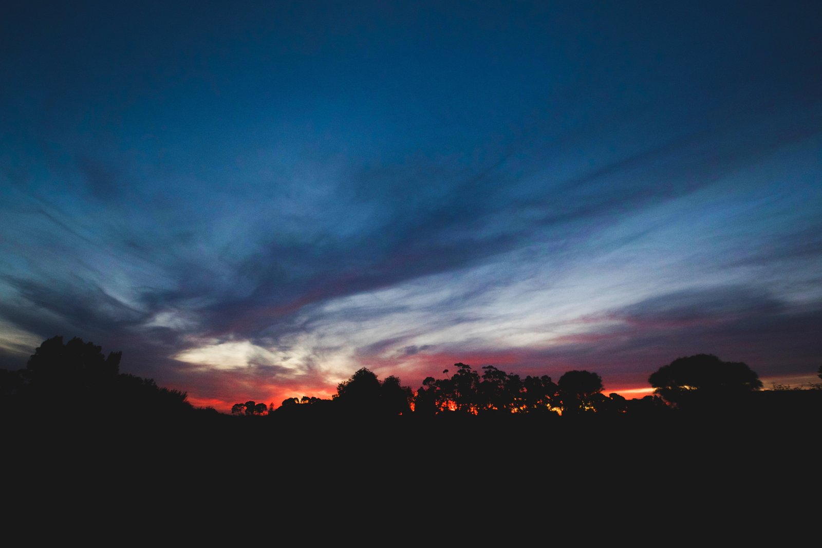 trees during sunrise silhouette dark sky clouds sunset nature 2k 4k 5k
