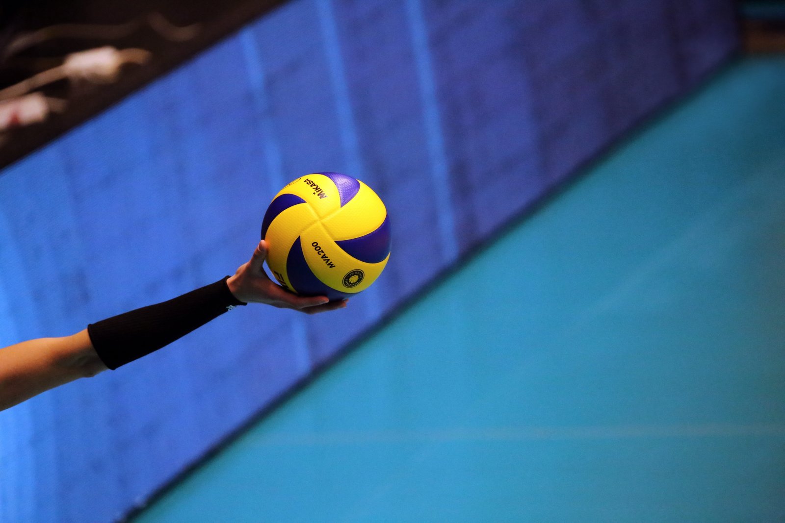 volleyball premium player ball sports team sport concentration 2k 4k 5k