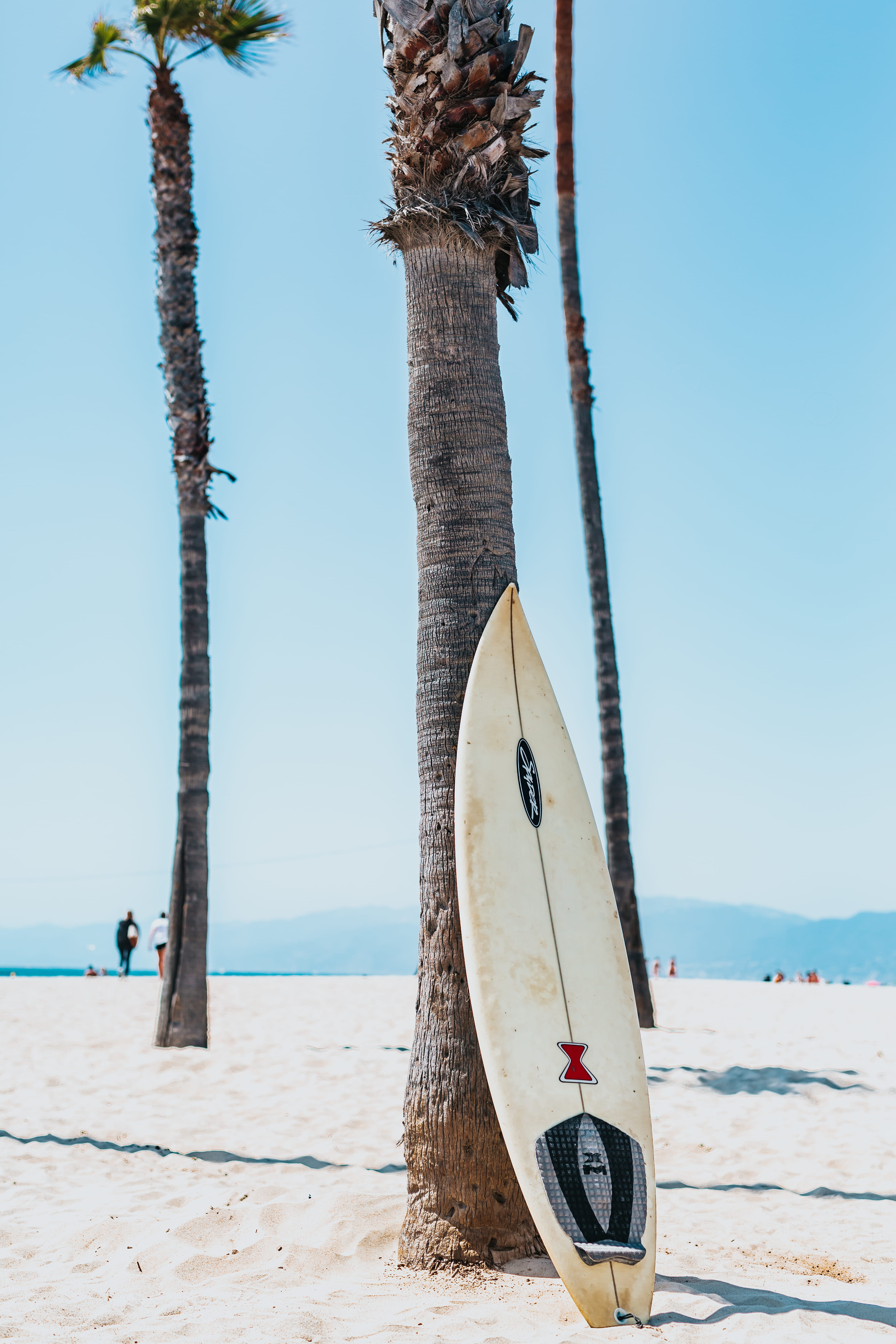 white and black surfboard leaning on gray Mexican palm tree 2k 4k