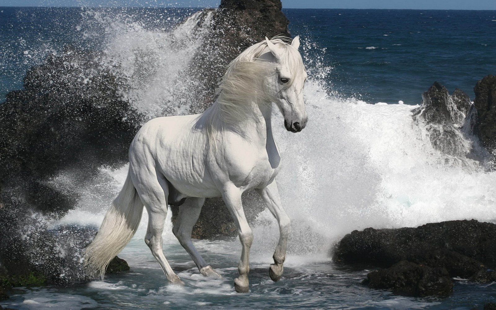 White Horse Beach Sea Rocks Waves Wallpaper Widescreen Hd 2k 4k 5k