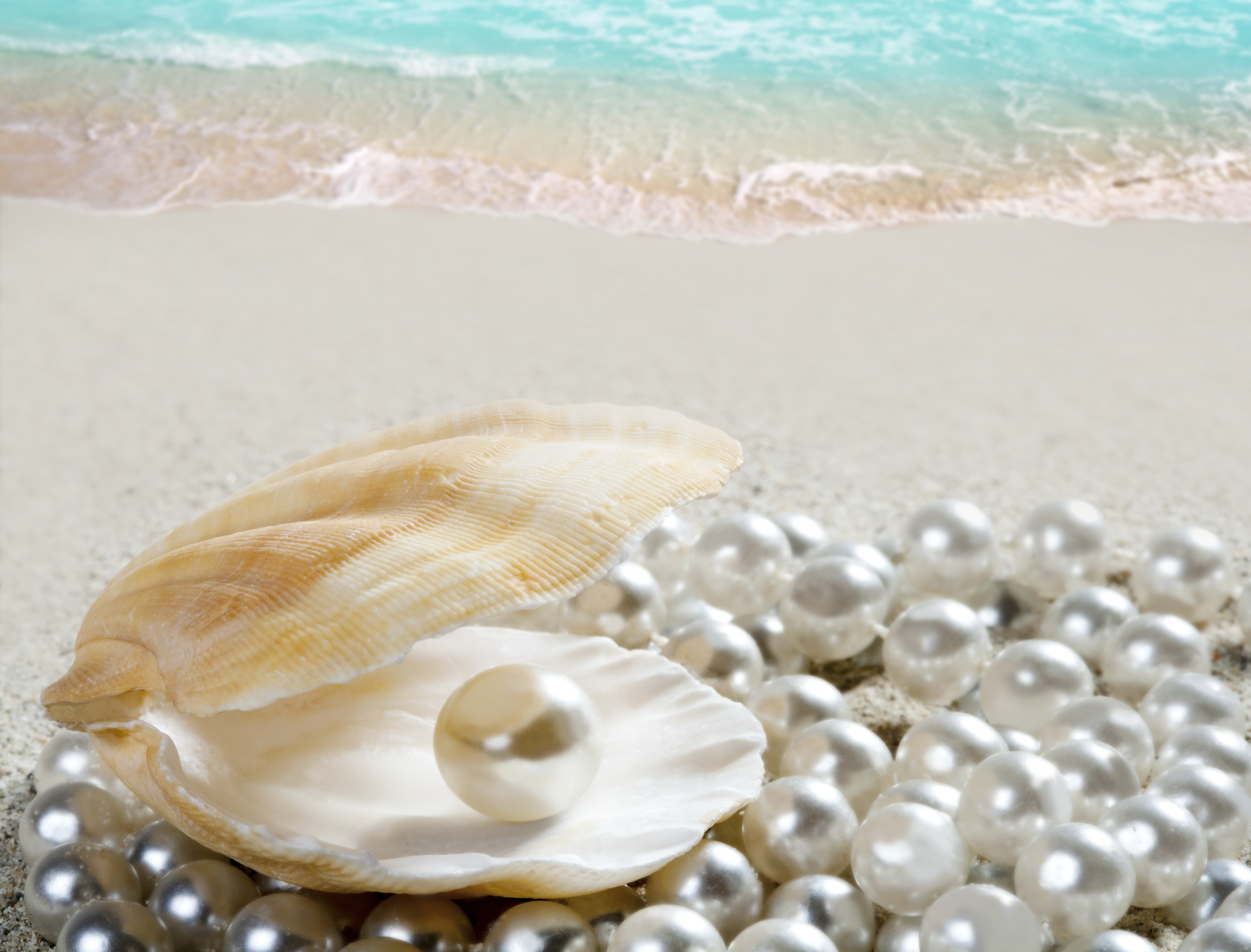 white seashell sand beach shore pearl perl water jewelry 2k 4k 5k