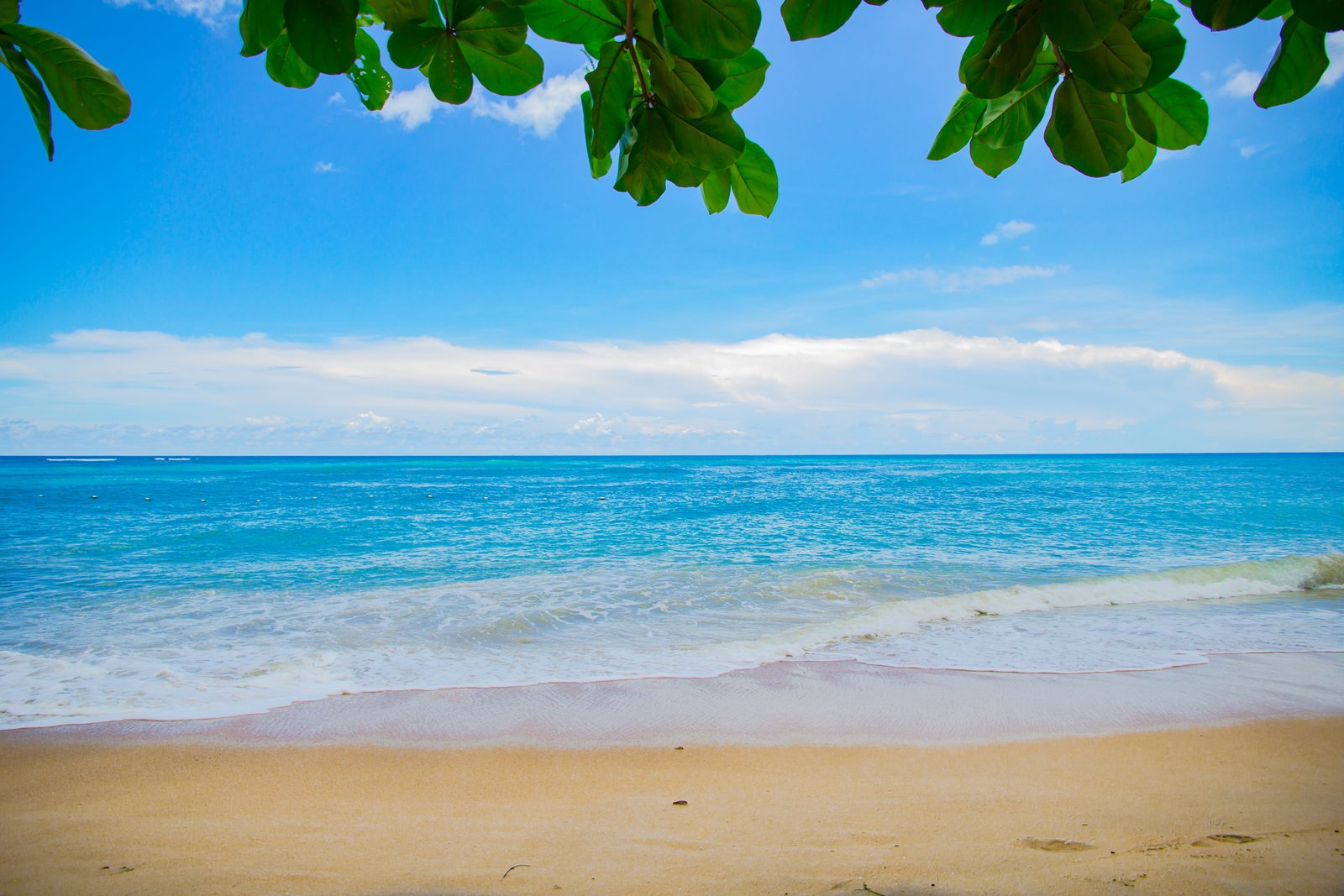 blue sea water and with brown sand body of illustration 2k 4k 5k