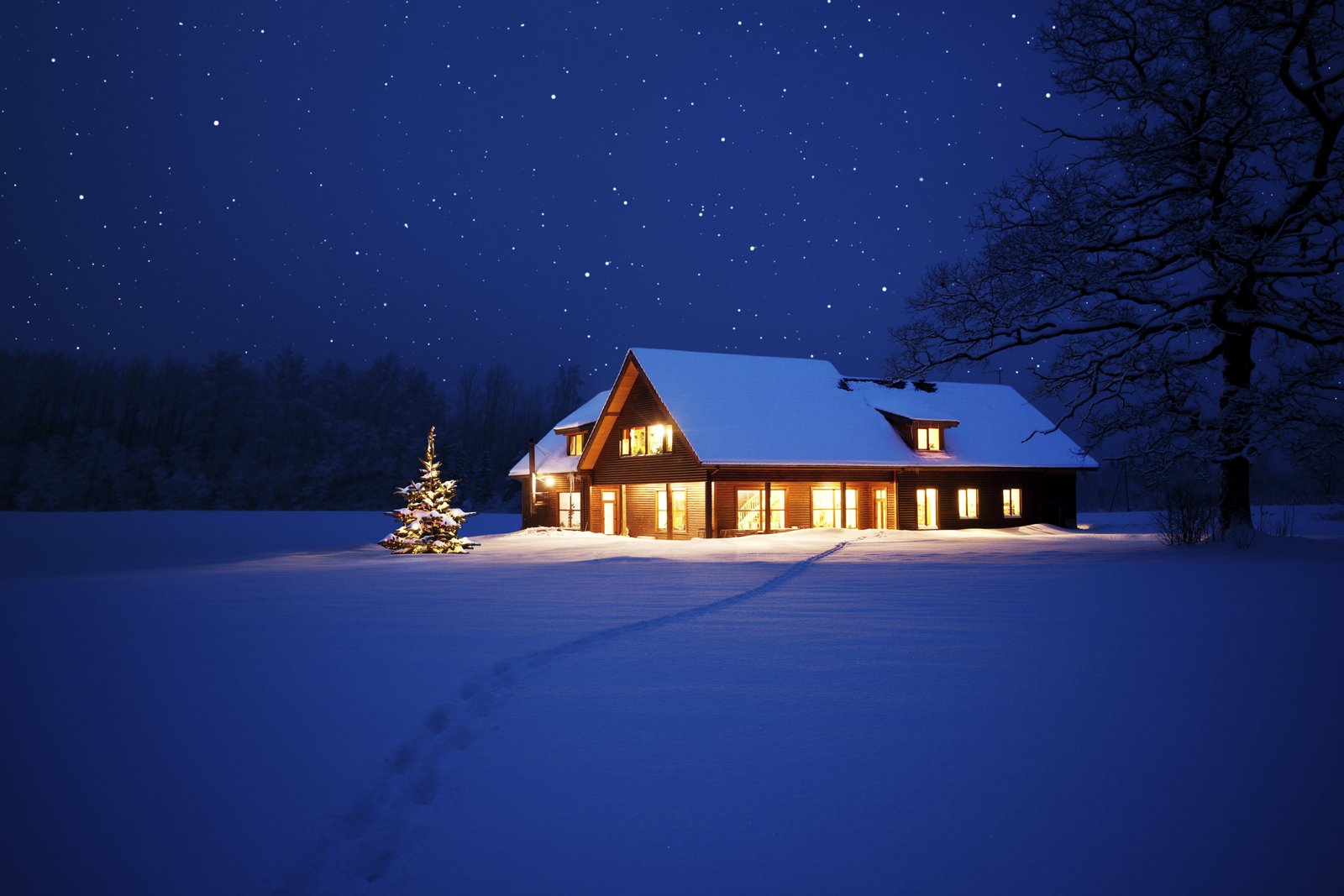 brown house illustration lights tree New Year Christmas night 2k 4k 5k