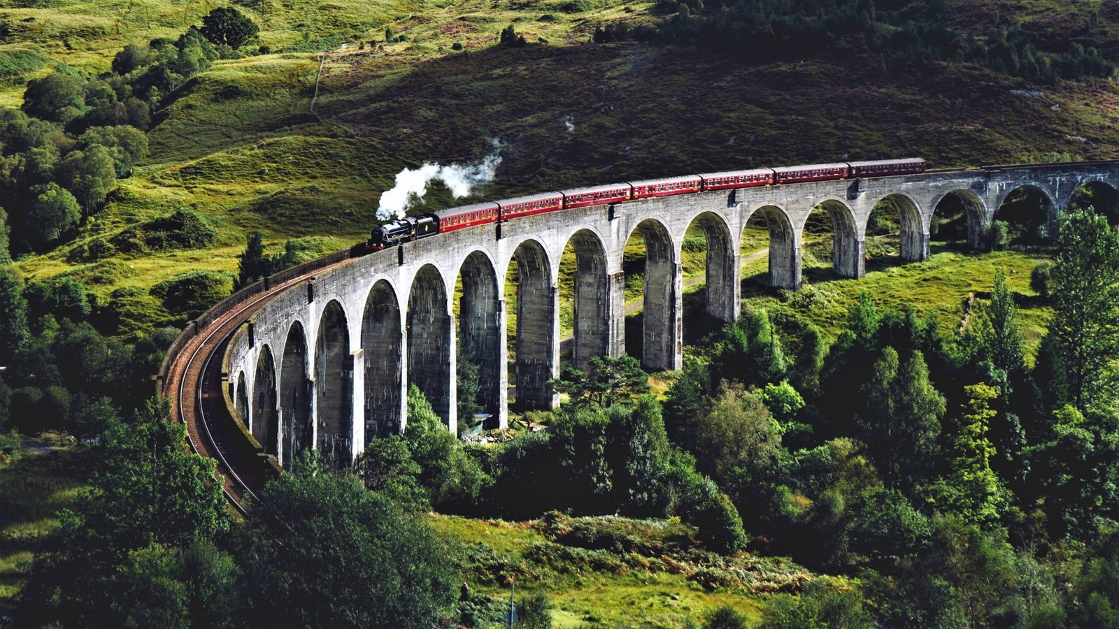 brown train plant europe united kingdom scotland glenfinnan 2k 4k