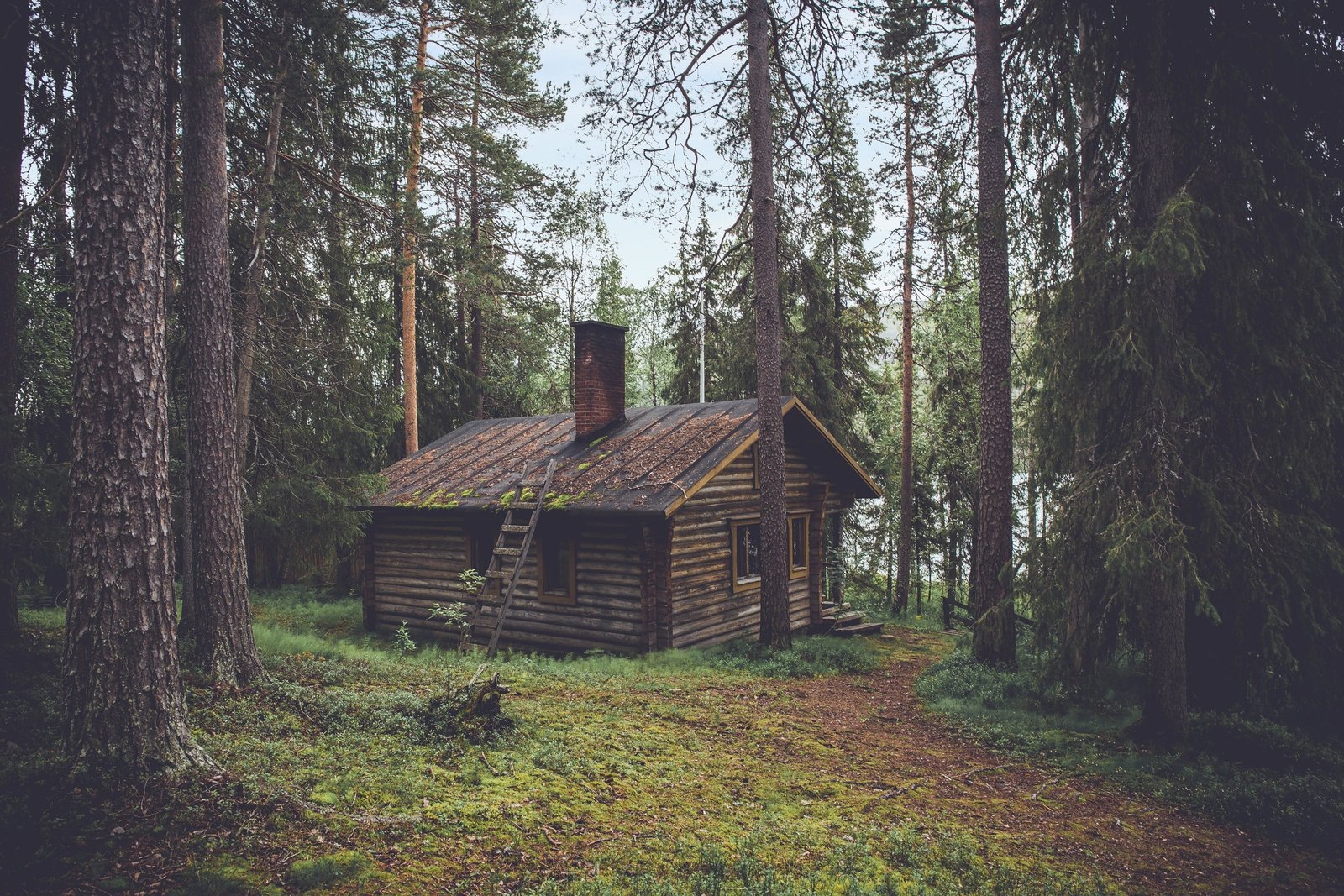 brown wooden cabin nature forest trees fall house lake 2k