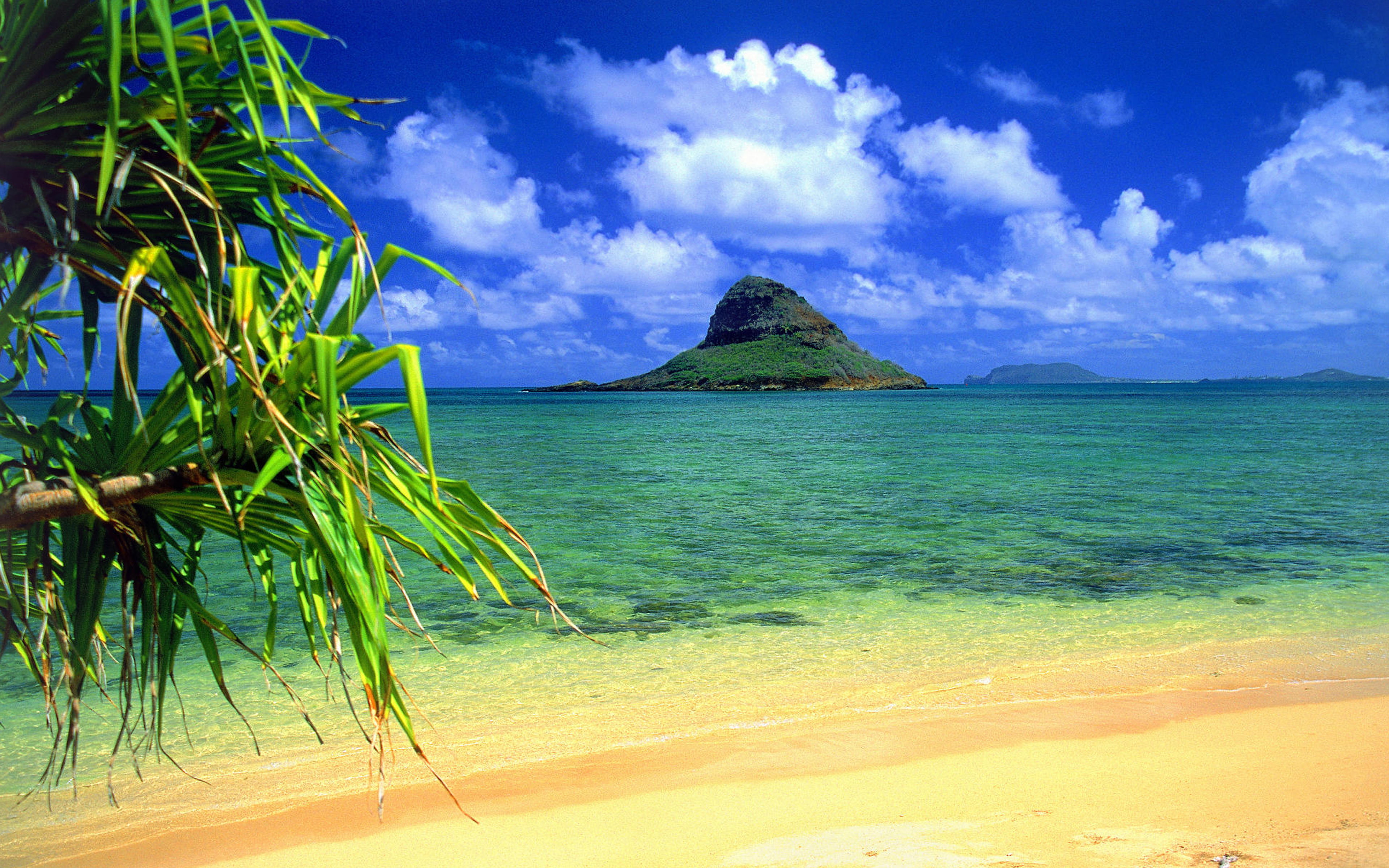 Chinaman s Hat Oahu Hawaii Desktop Wallpaper Backgrounds Free Download 2k 4k