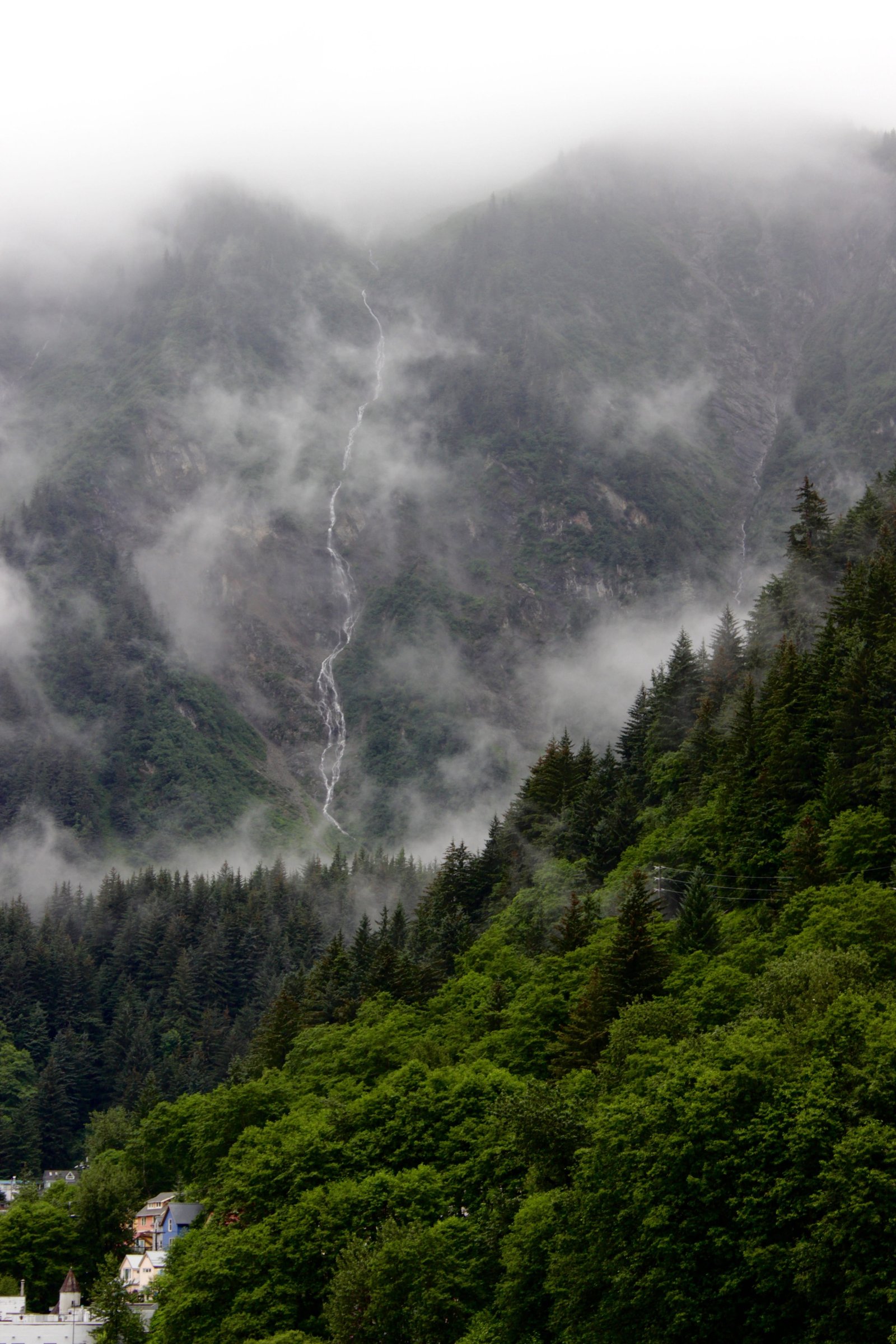 green leafed forest trees with mountain wallpaper iphone wallpapers 2k