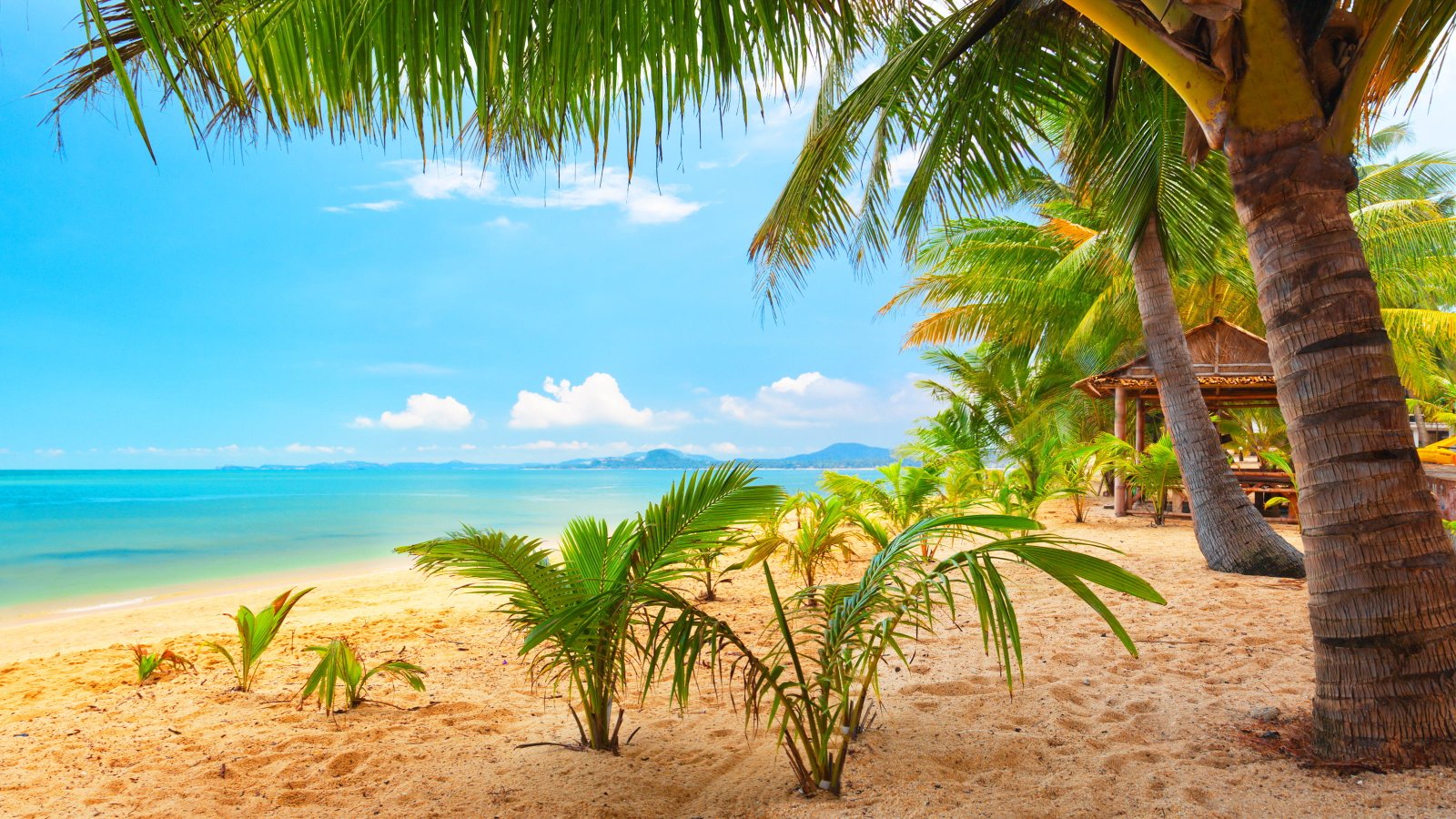 green palm trees sky clouds beach bungalow sea summer tropical 2k