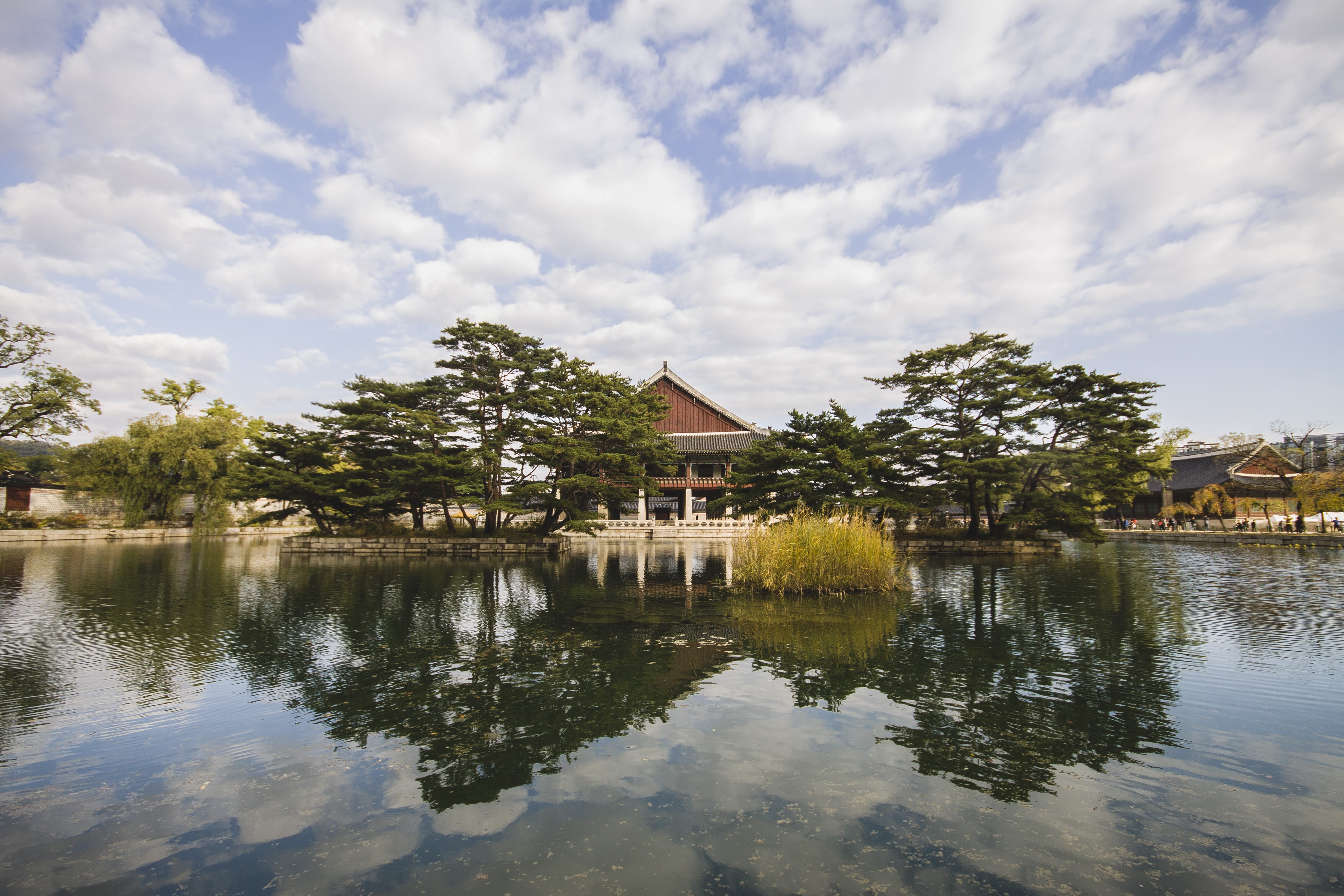 green trees planted near body of water South Korea Temple Lake 2k 4k 5k
