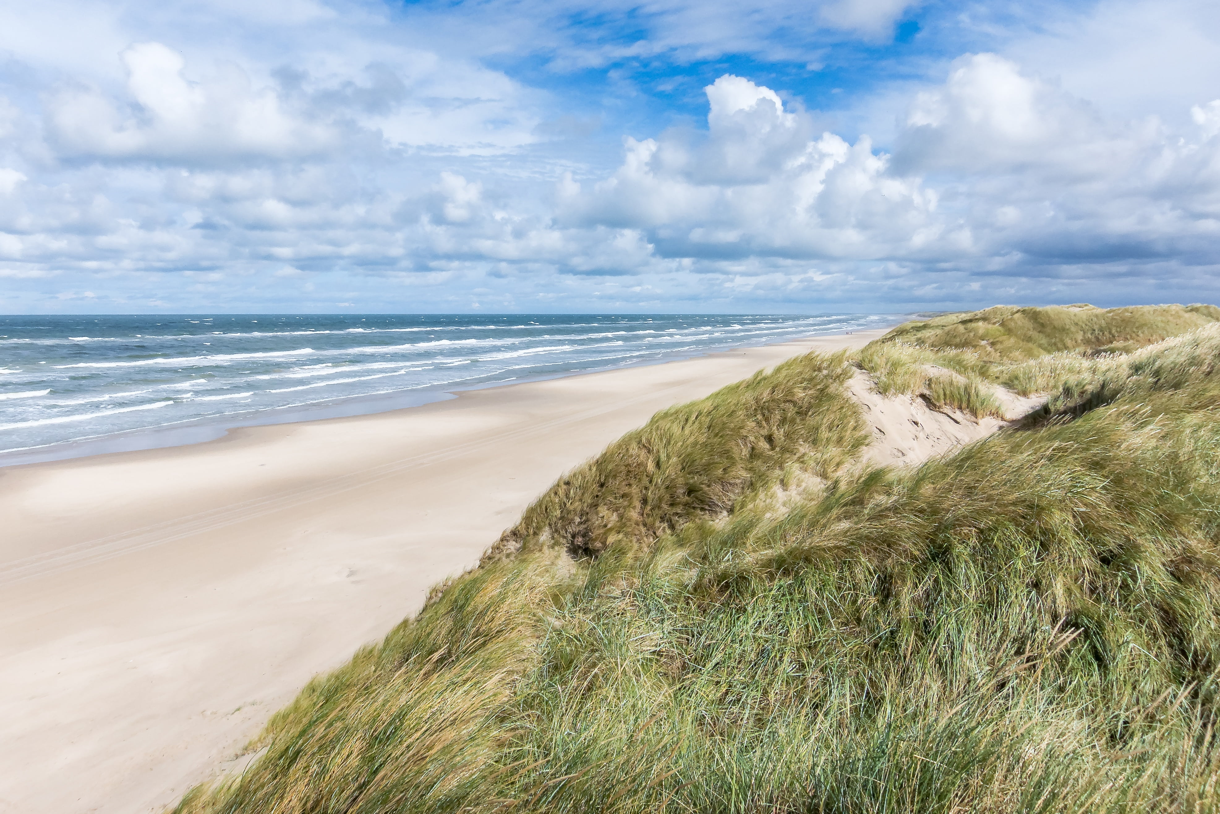 jutland denmark beach sea dunes dune landscape north 2k 4k