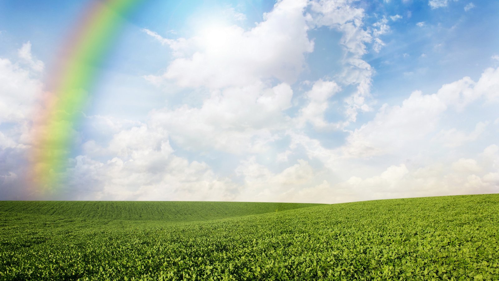 Meadows wallpaper rainbow sky clouds 2k 4k 5k