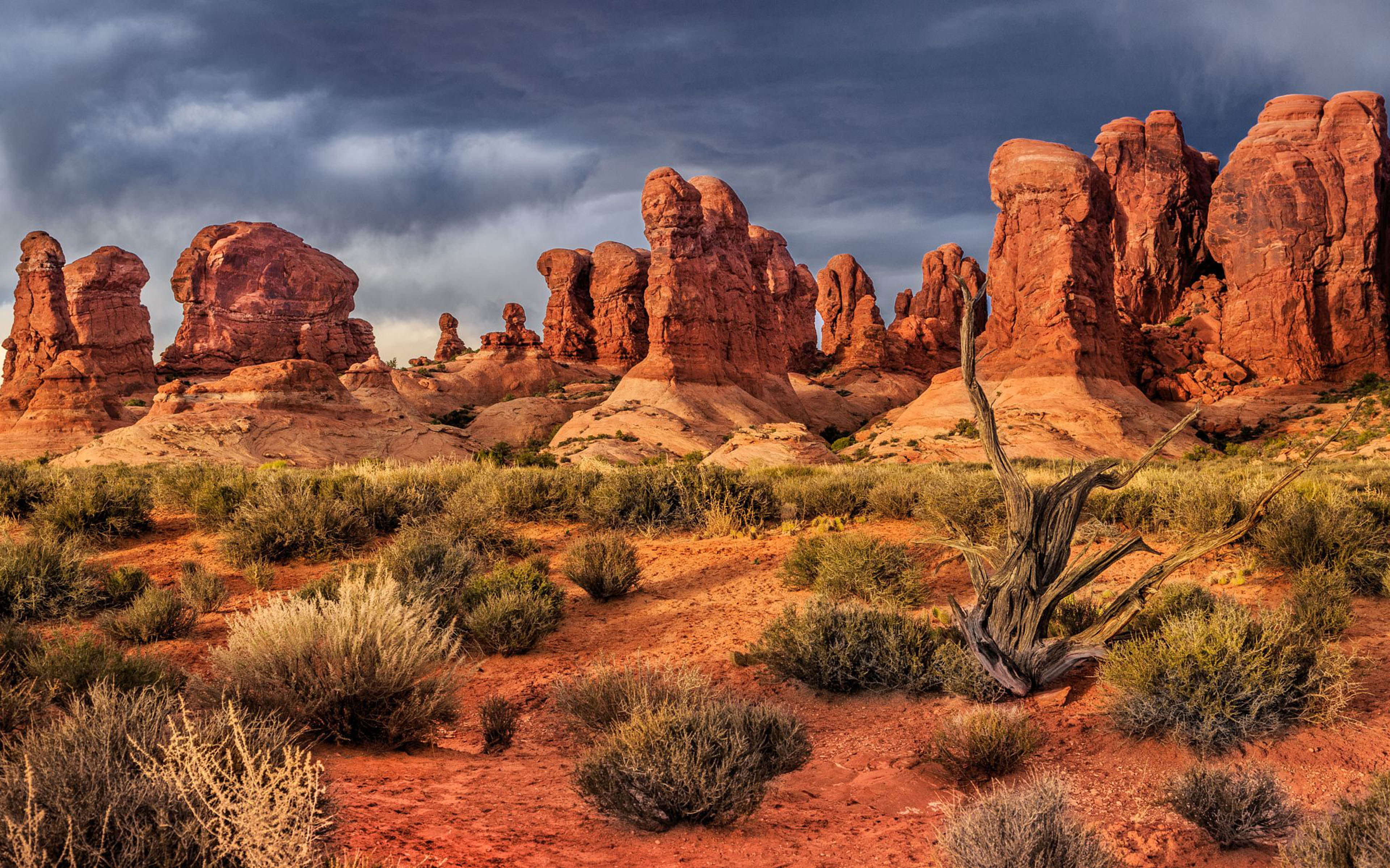 National Park Arches Moab Utah United States Sunset Garden From Eden Landscape Photography Hd Wallpaper Download For Mobile And Tablet 2k 4k