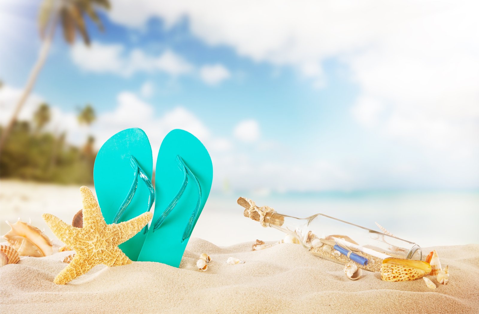 sand sea beach summer the sun bottle shell vacation 2k 4k 5k