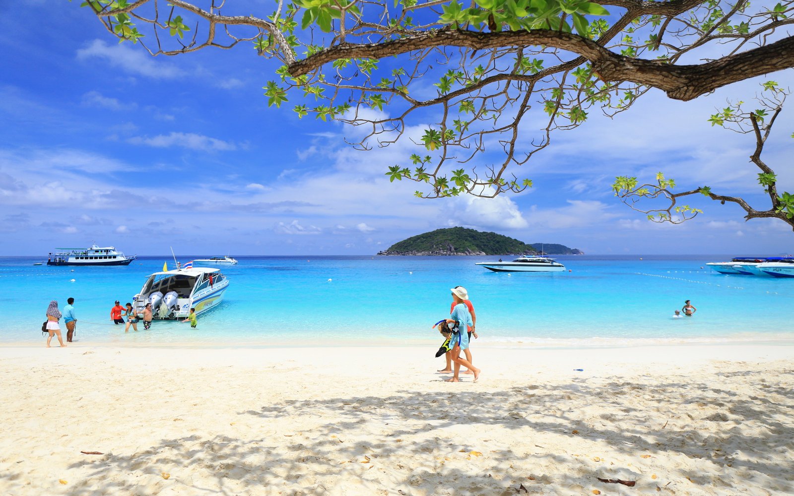 Similan Islands National Park Thailand Beach Photo Wallpaper Hd 2k 4k
