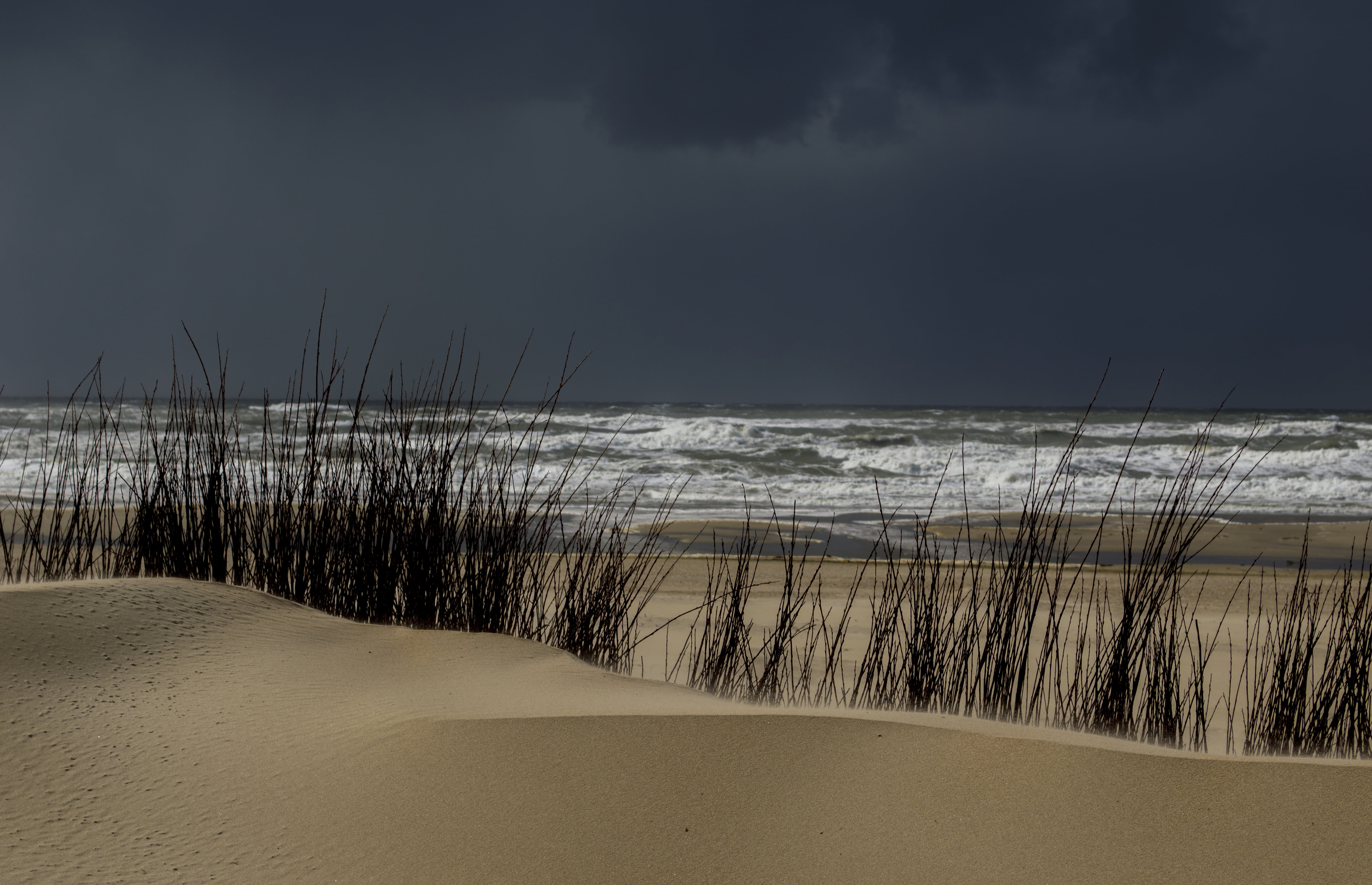 beach during storm Dune Texel Zand Water Zee Sand Beach 2k 4k 5k
