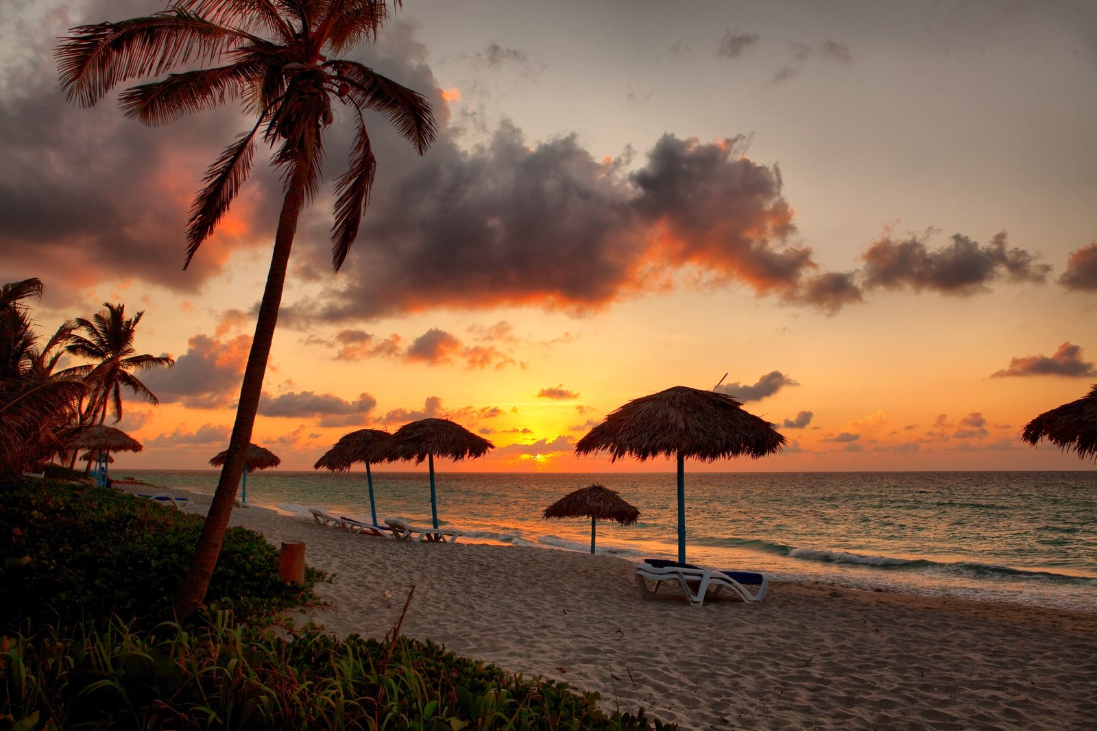 beach clouds vacation palm trees horizon 2k 4k 5k