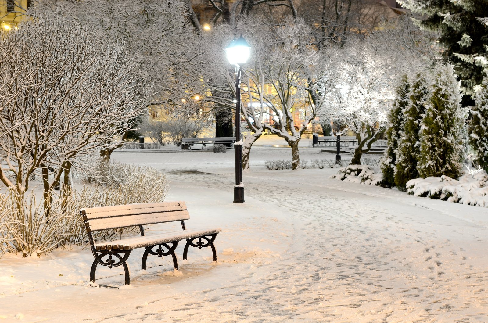 brown wooden bench winter light snow trees nature Park 2k 4k 5k