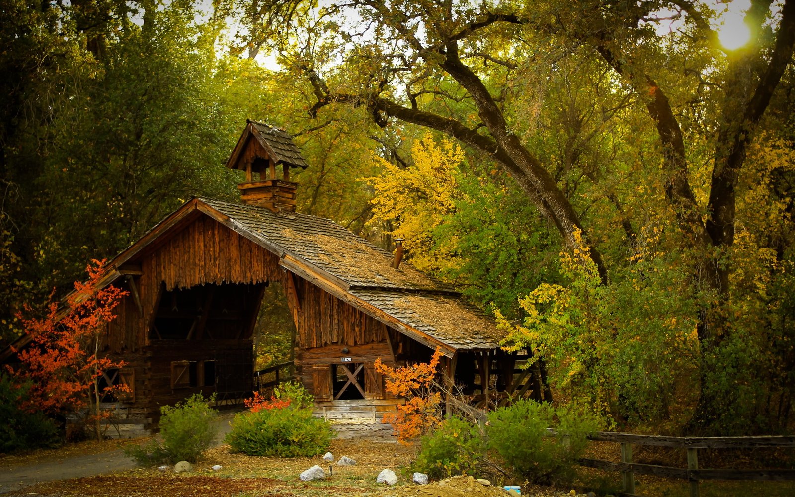 brown wooden house cabin surrounded by trees nature photography 2k