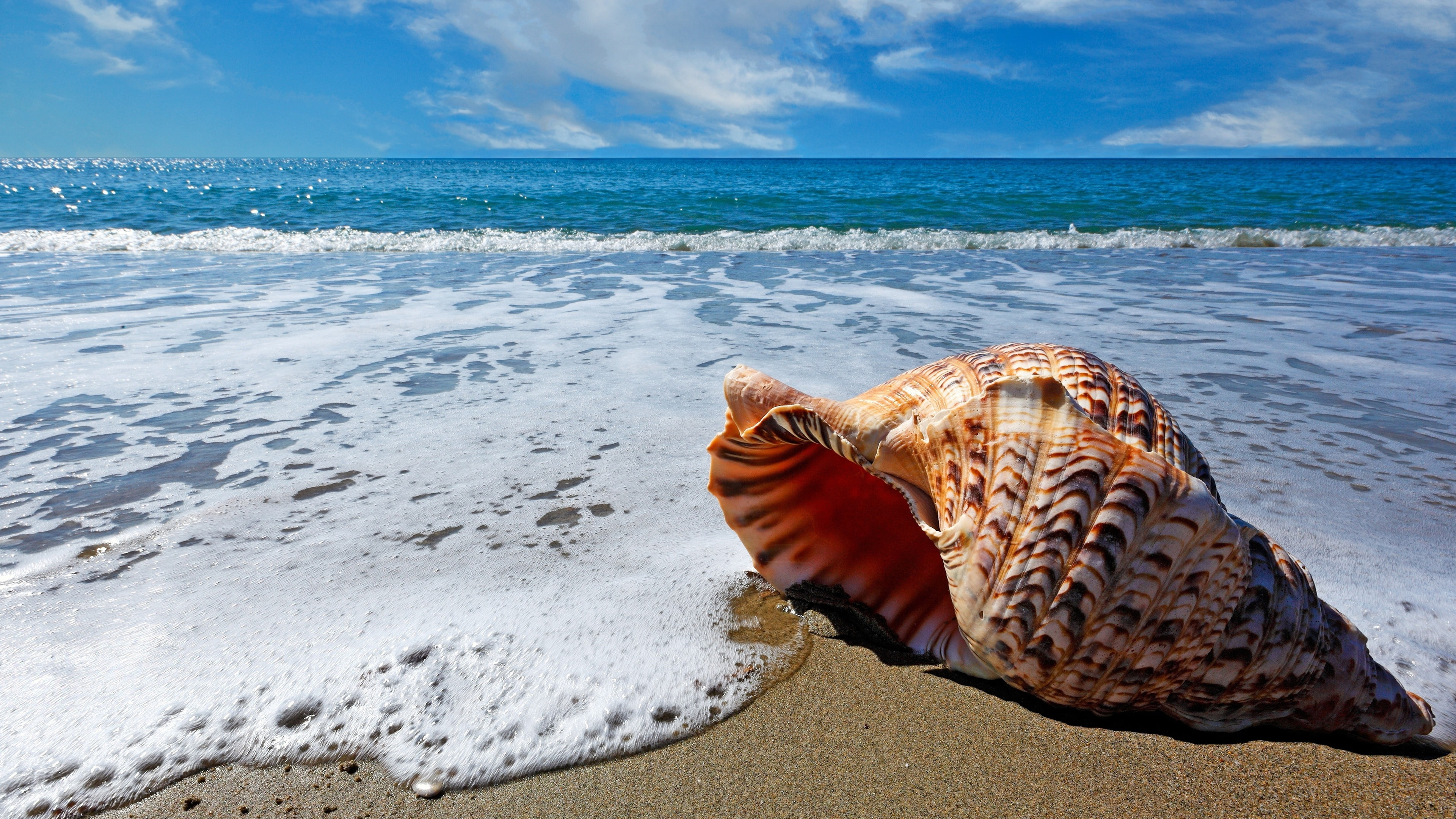 foamy waves photgraphy summertime blue sky seascape sandy beach 2k 4k