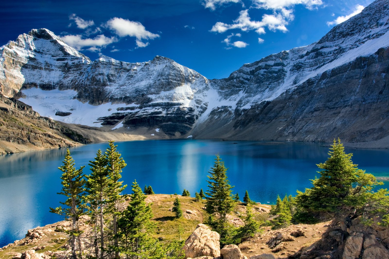 fog forest lake landscape mountain nature ultrahd 2k 4k
