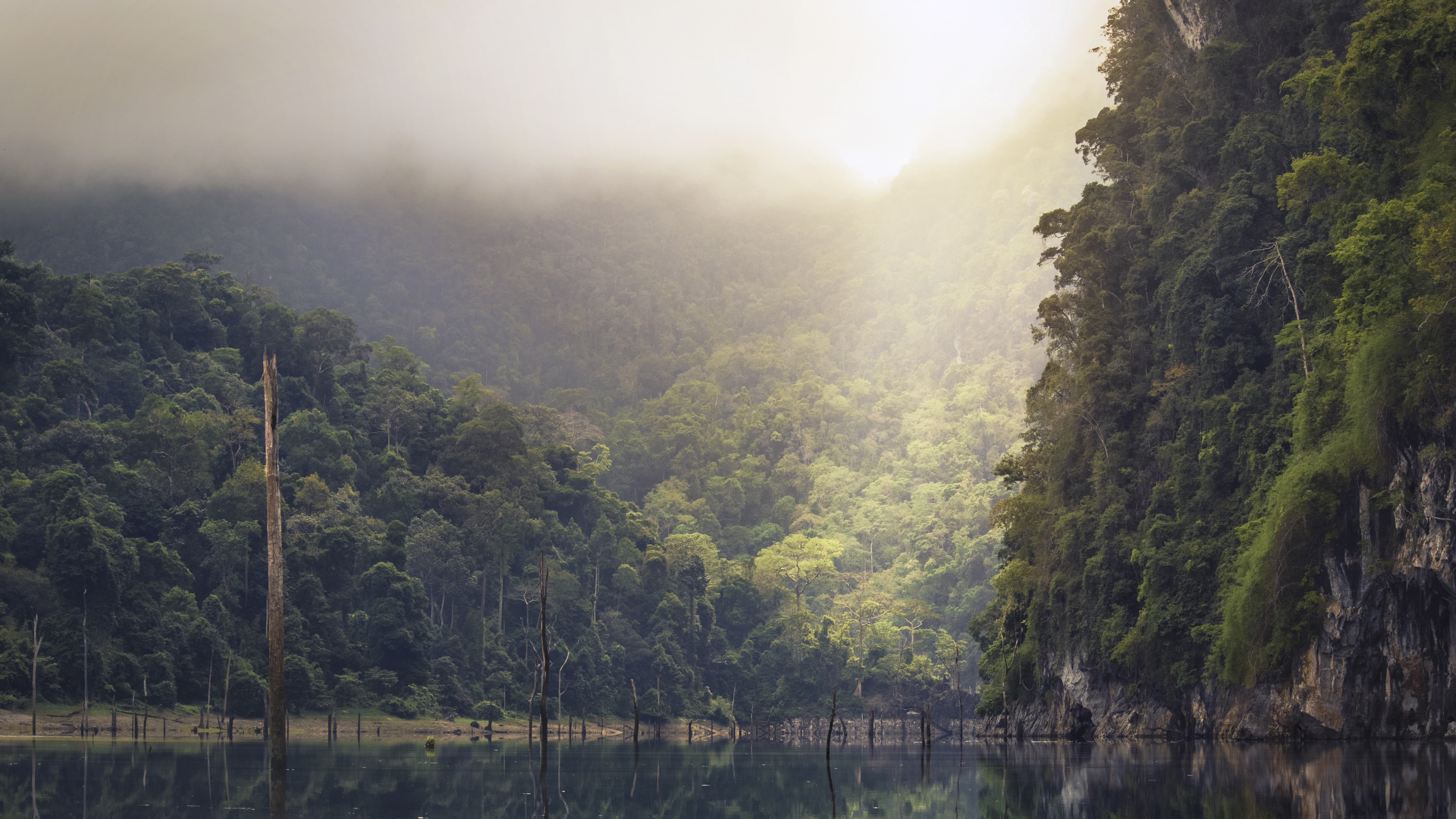 green forest mountain near on body of water during daytime Thailand 2k 4k 5k