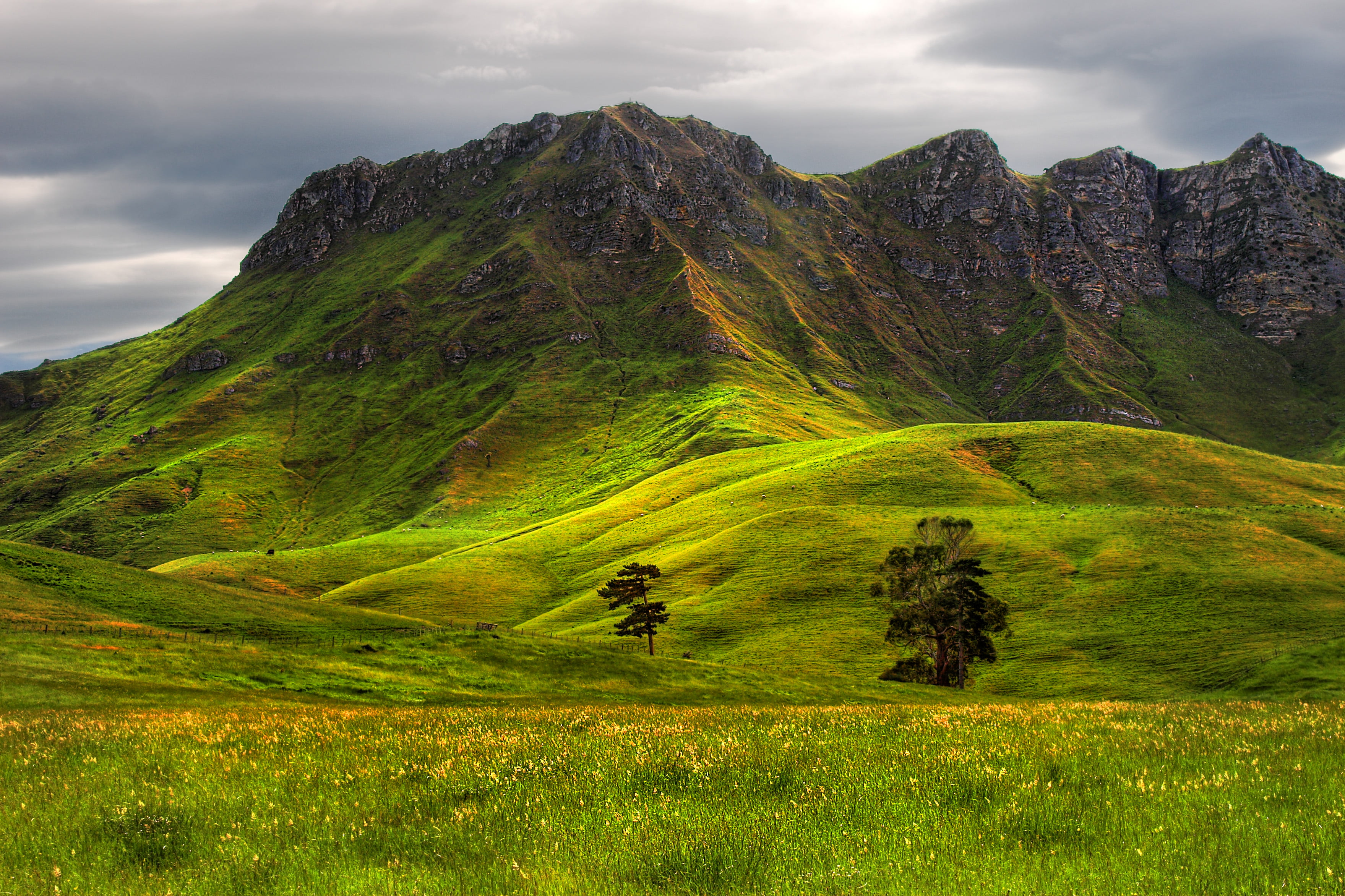 green grass on mountain under blue sky Solid Rock trees canon 2k 4k