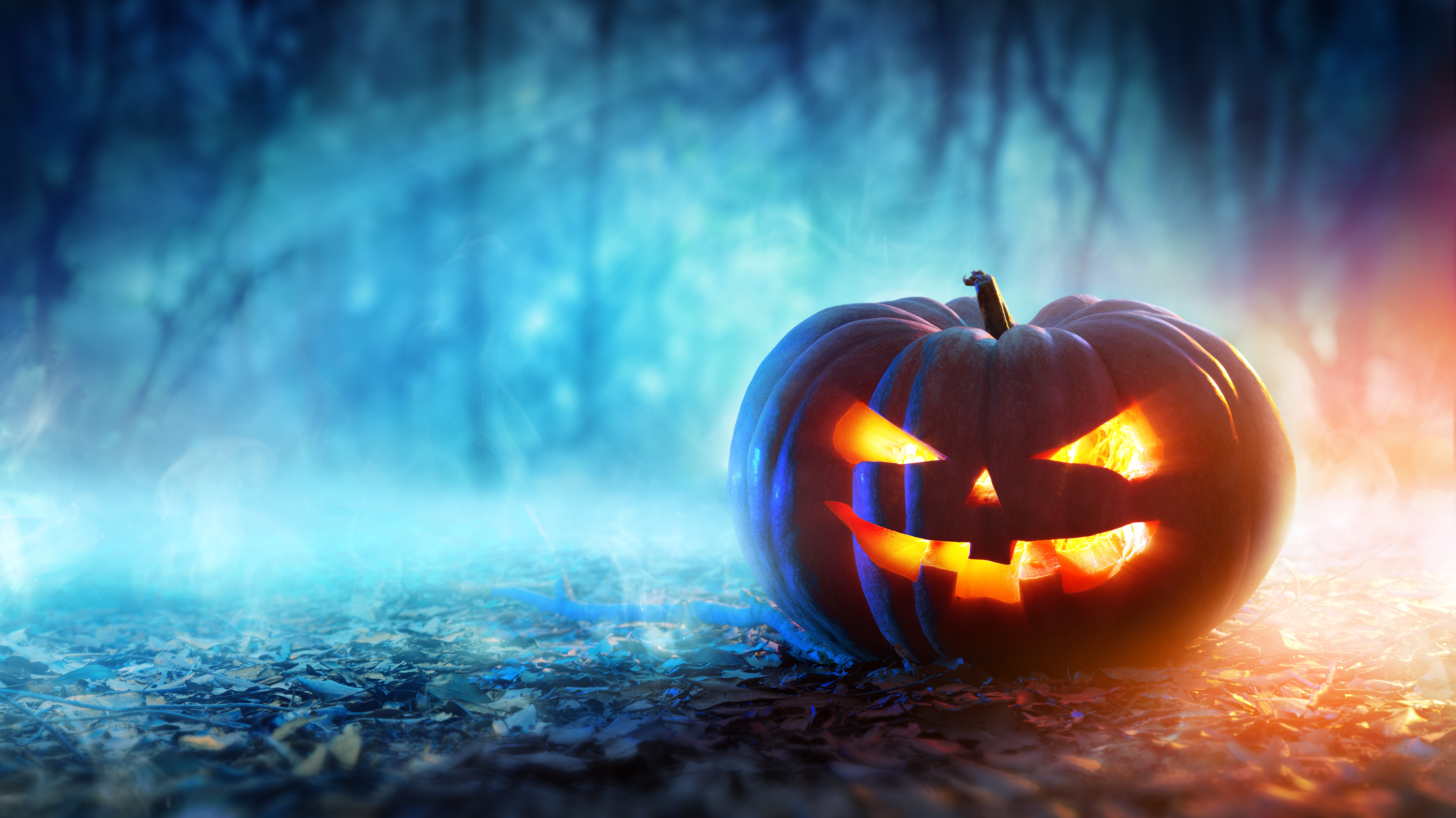 halloween celebrations holidays hd pumpkin 2k 4k 5k