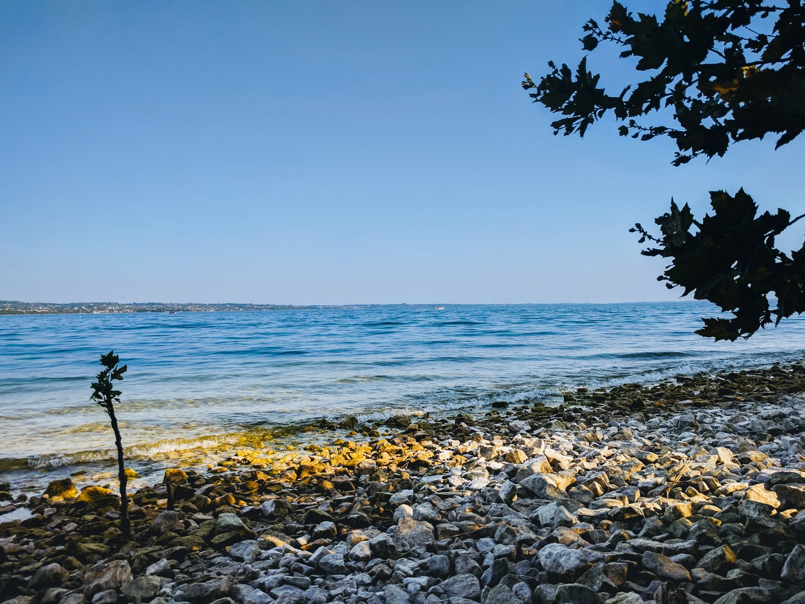 lake beach water sky sea beauty in nature plant clear 2k 4k