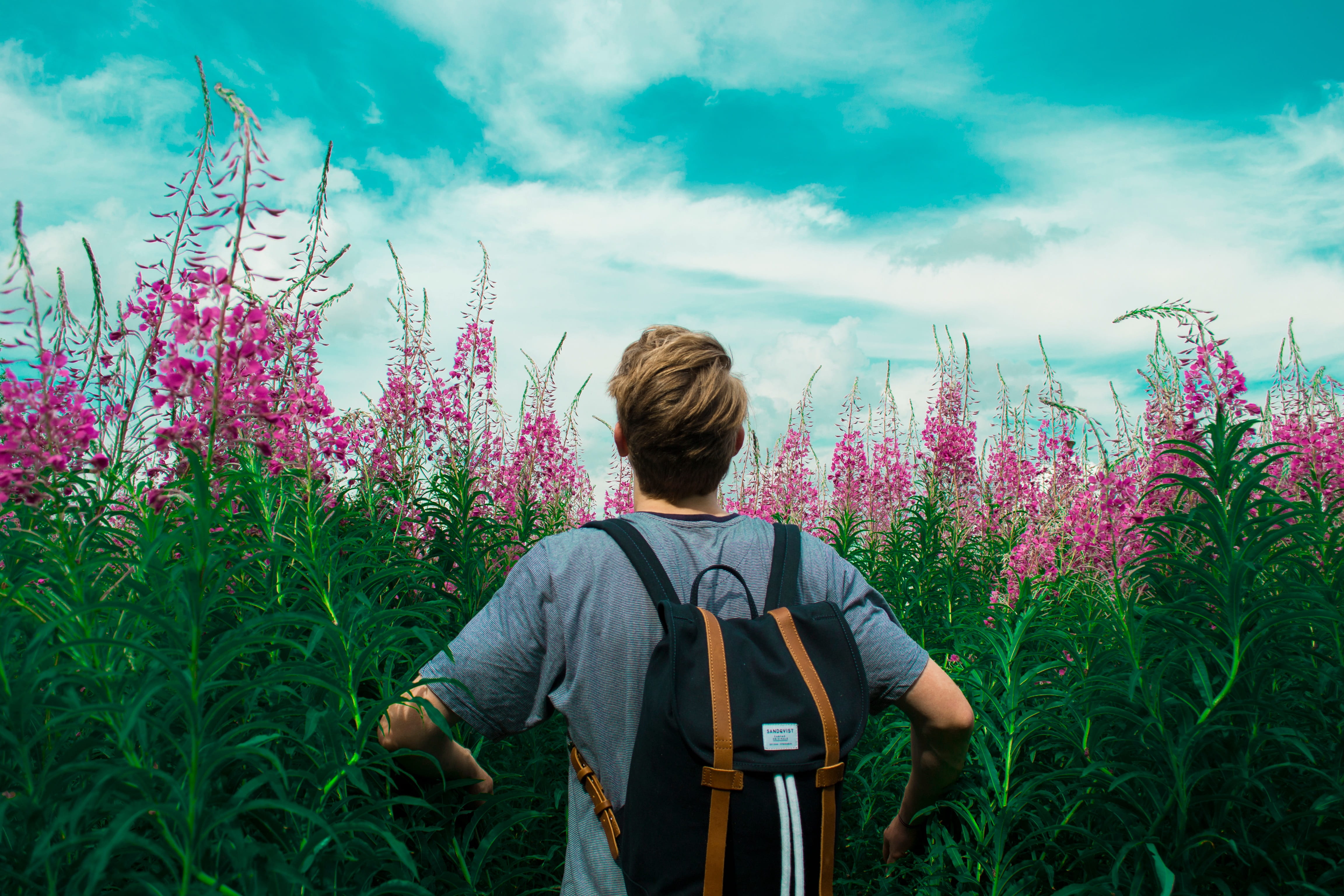 man in gray shirt with black and brown backpack on foxgloves flowers under blue white cloudy sky 2k 4k 5k